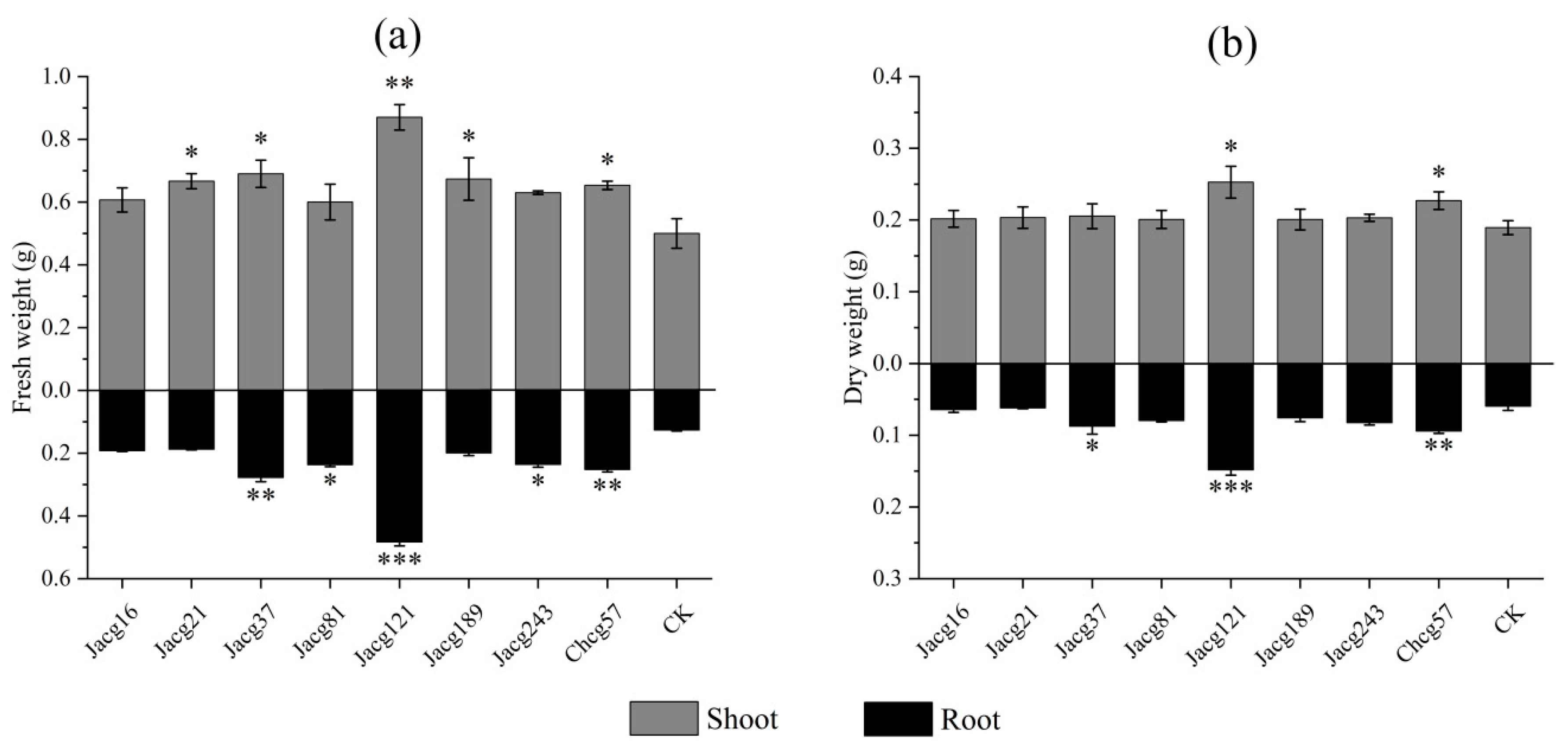 Preprints 93894 g002