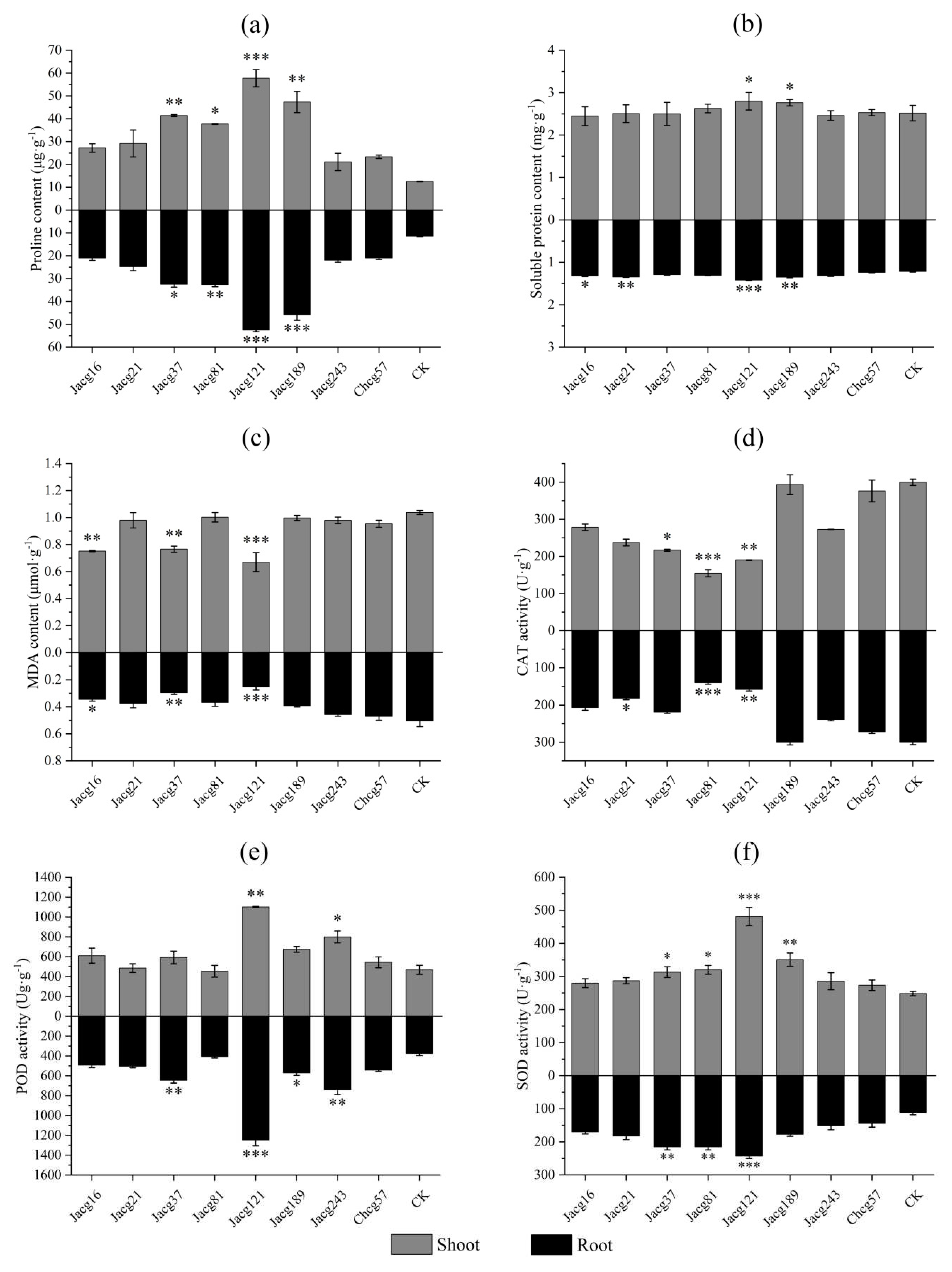 Preprints 93894 g004