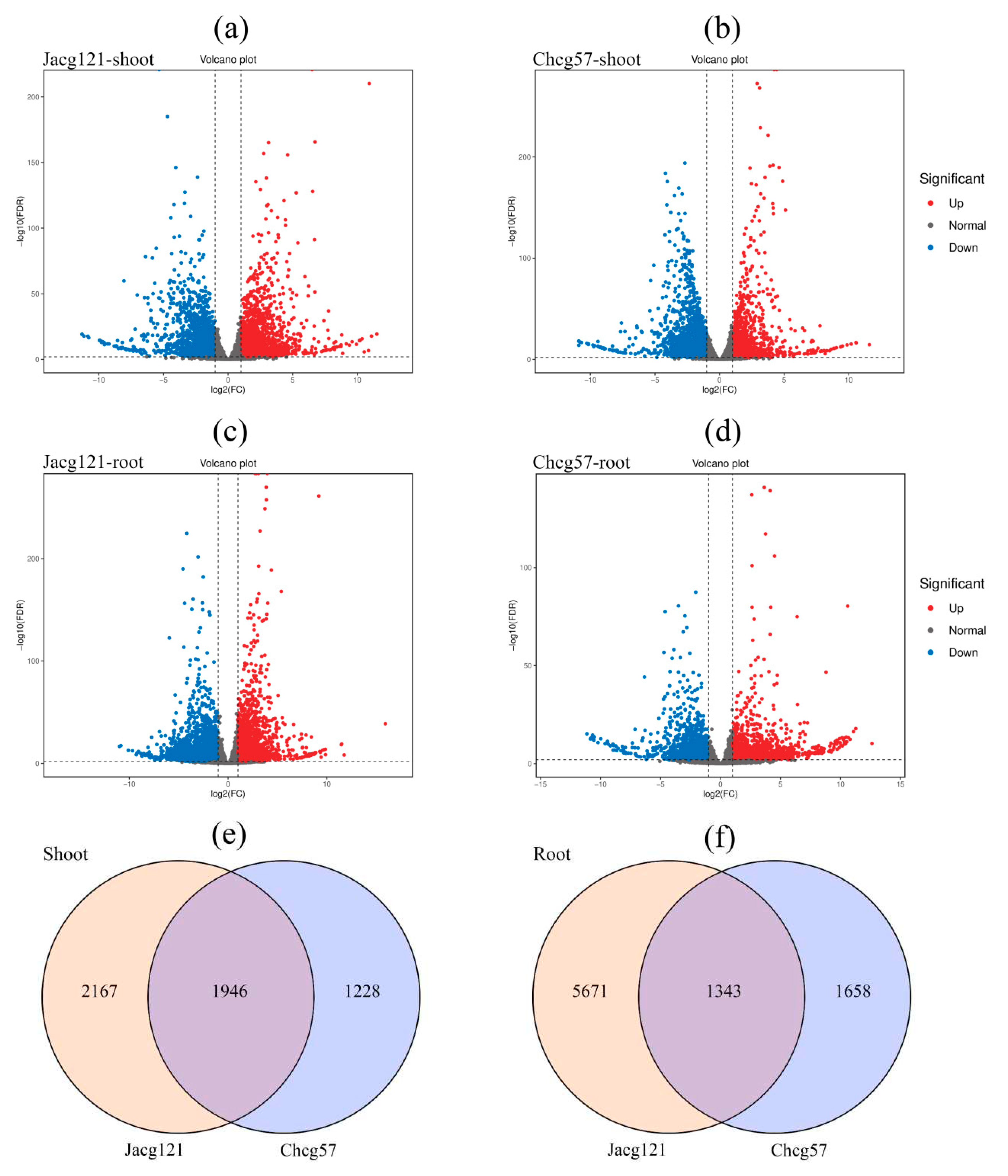 Preprints 93894 g005