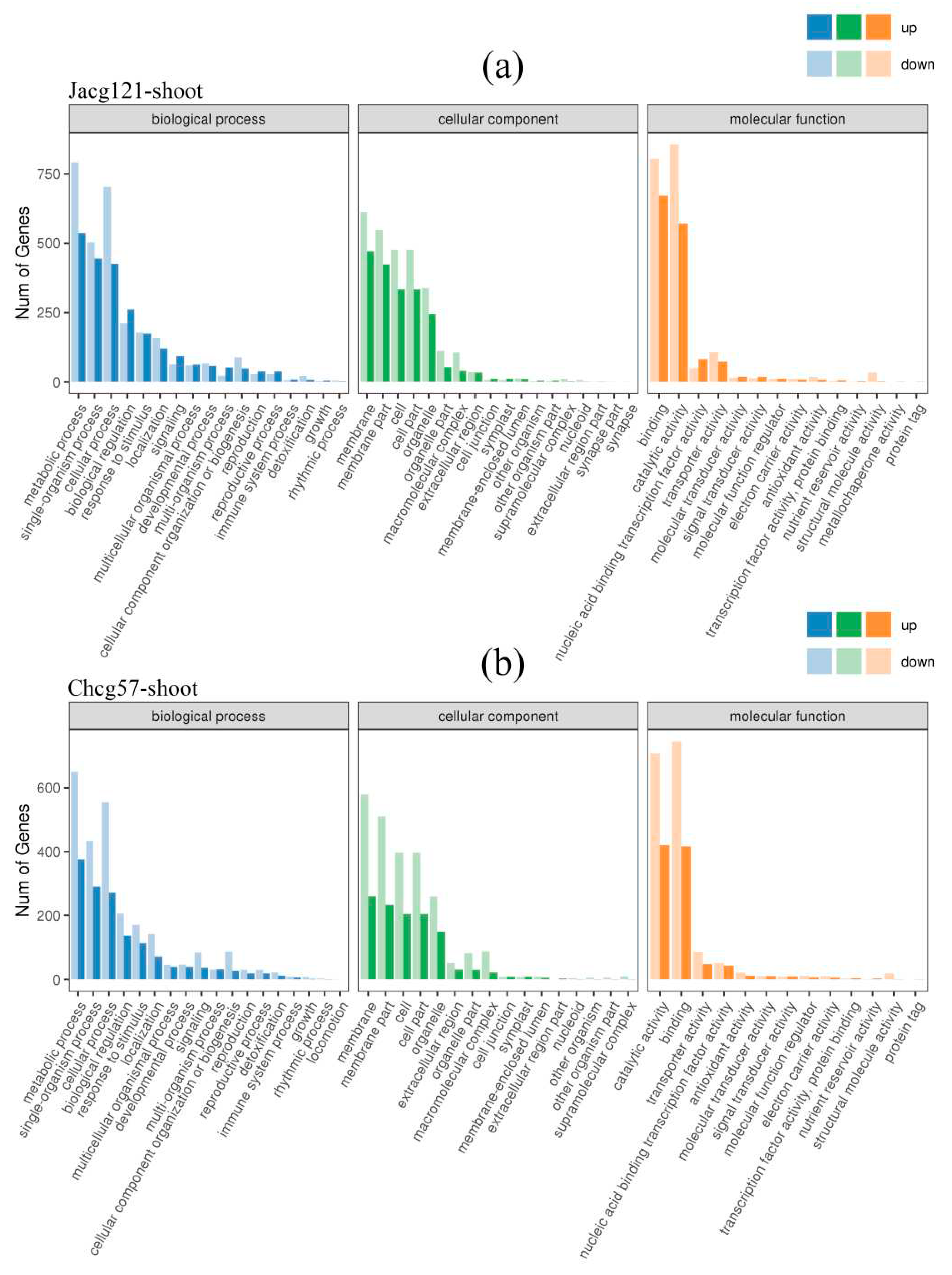 Preprints 93894 g006