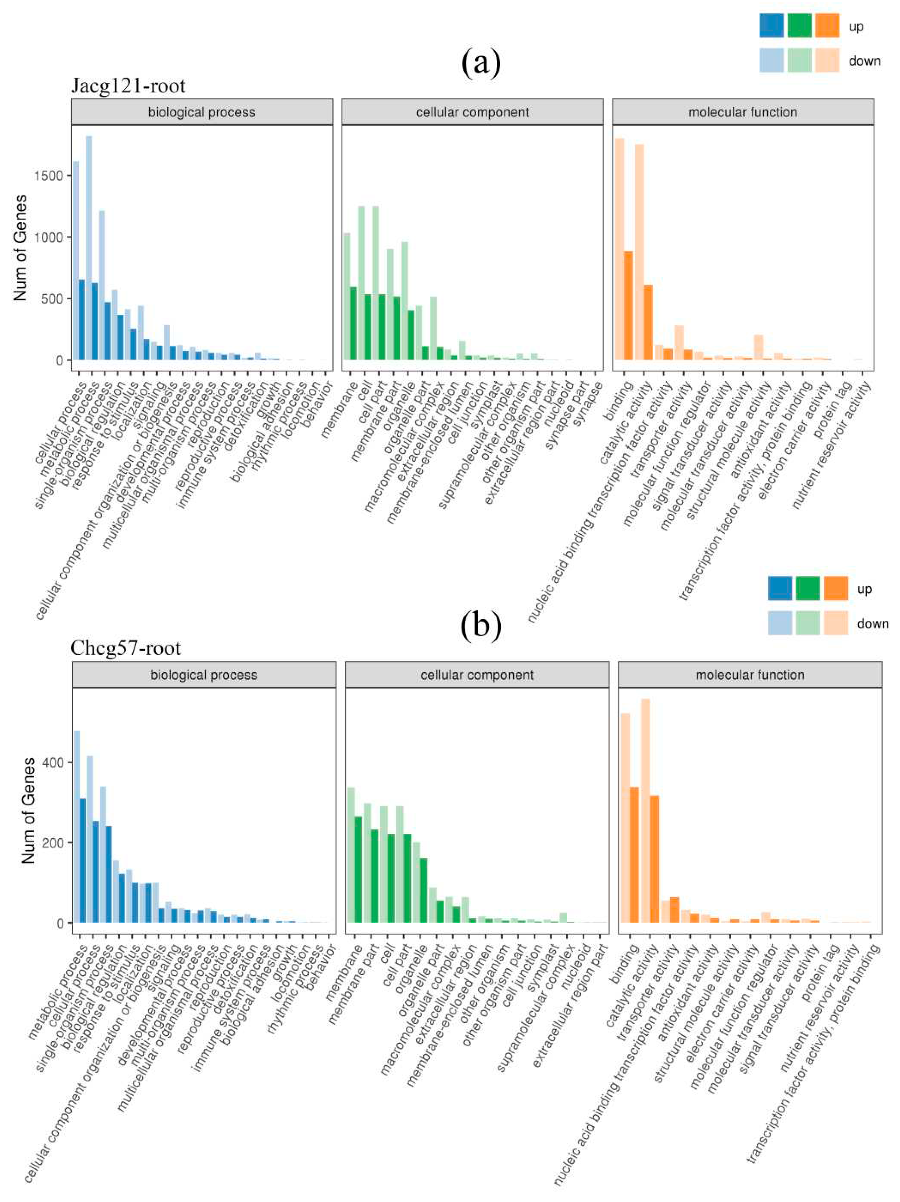 Preprints 93894 g007