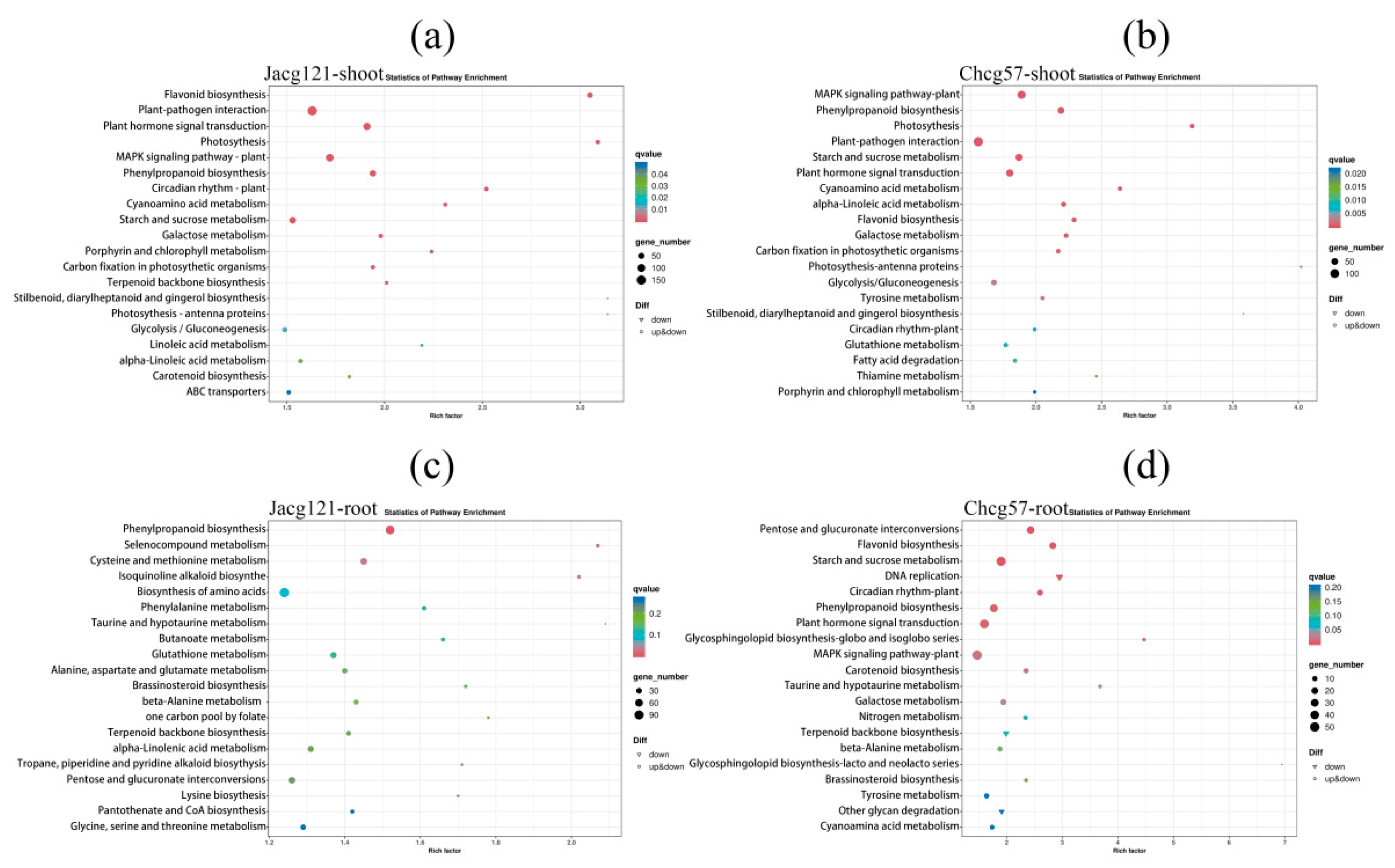 Preprints 93894 g008