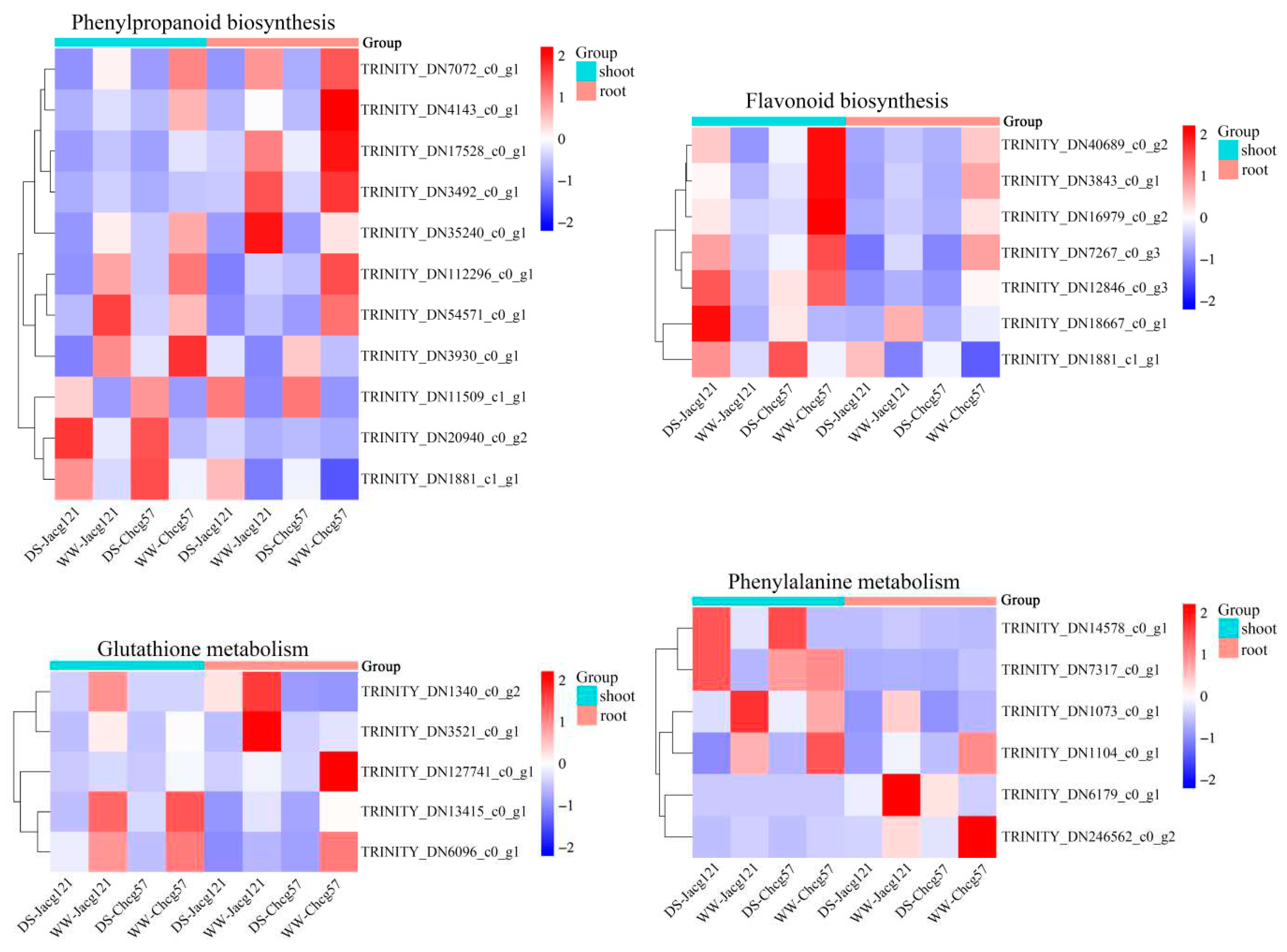 Preprints 93894 g009