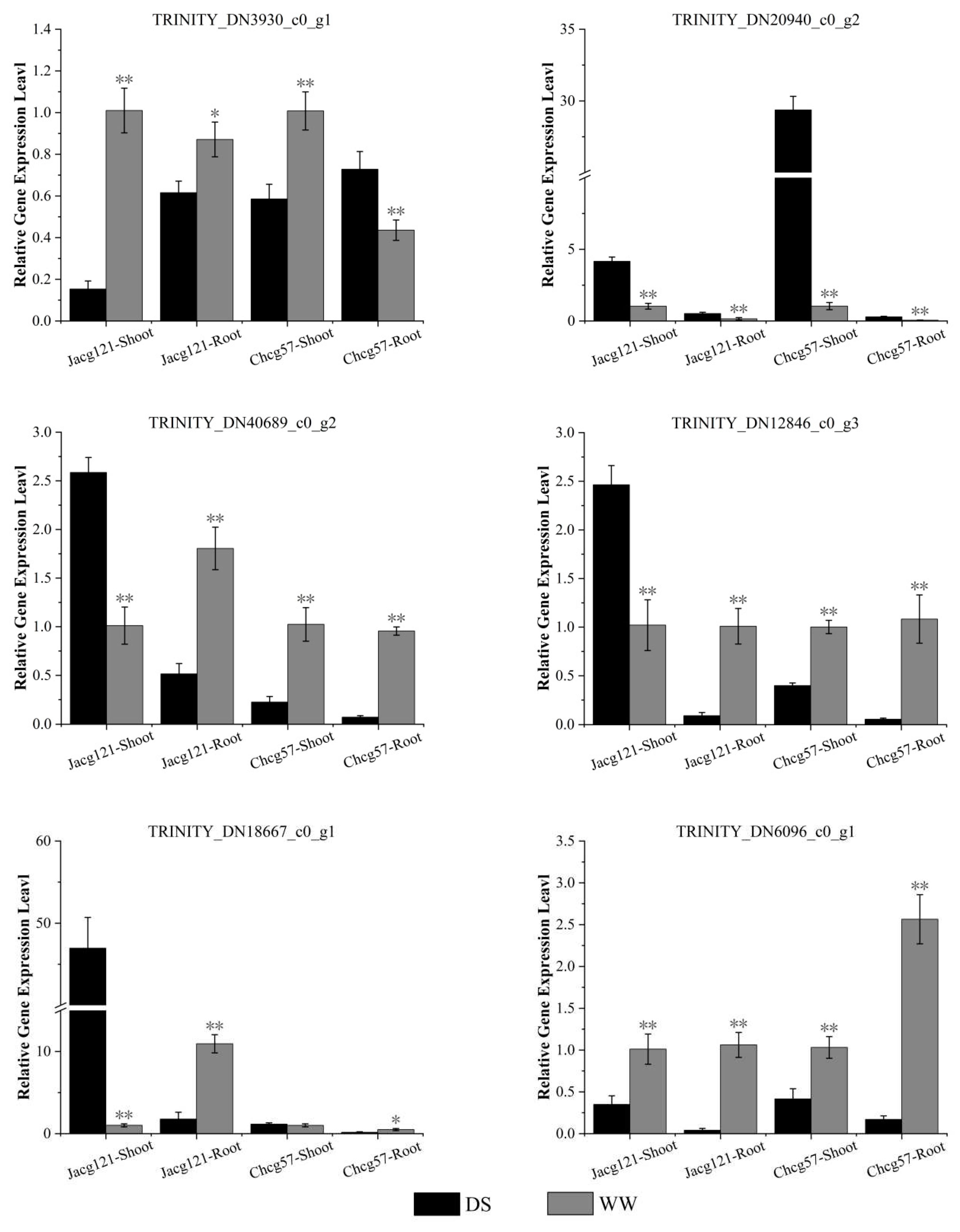 Preprints 93894 g010