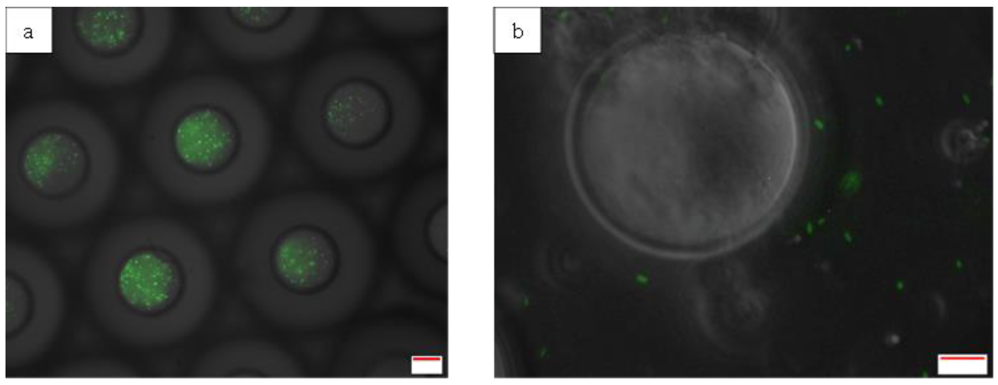 Preprints 119357 g007