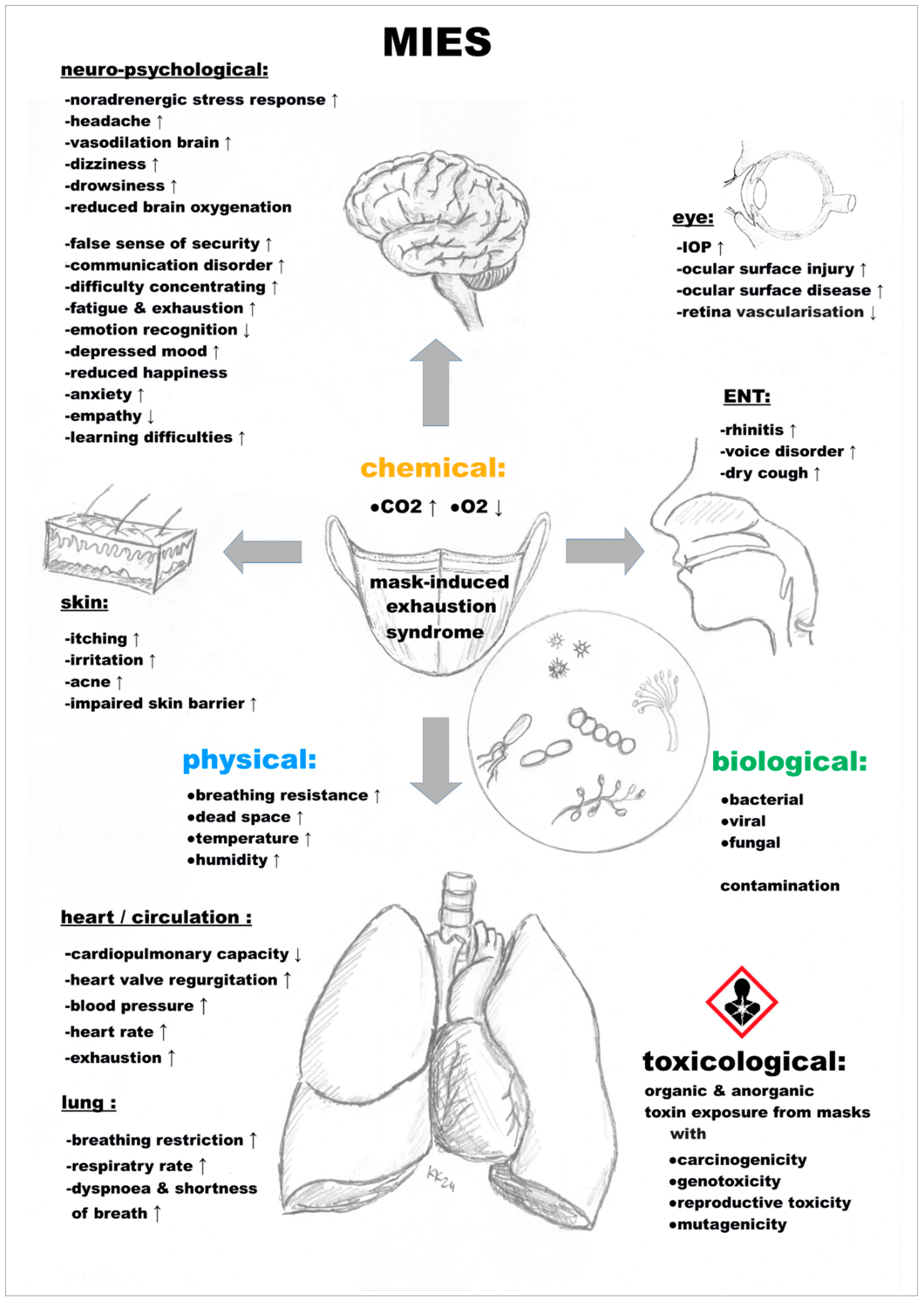 Preprints 118436 g005