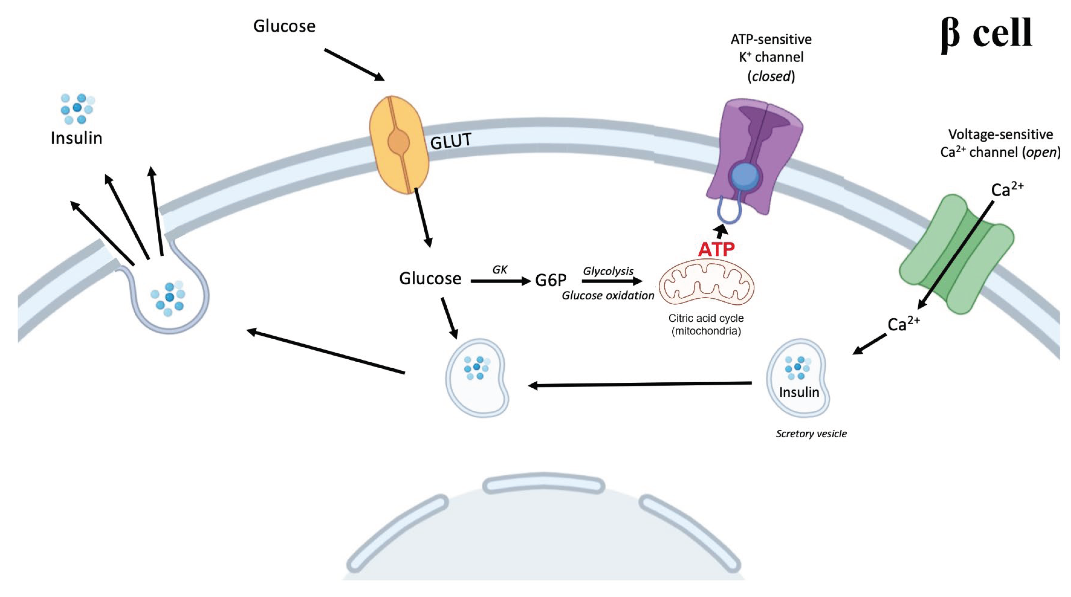 Preprints 67511 g001