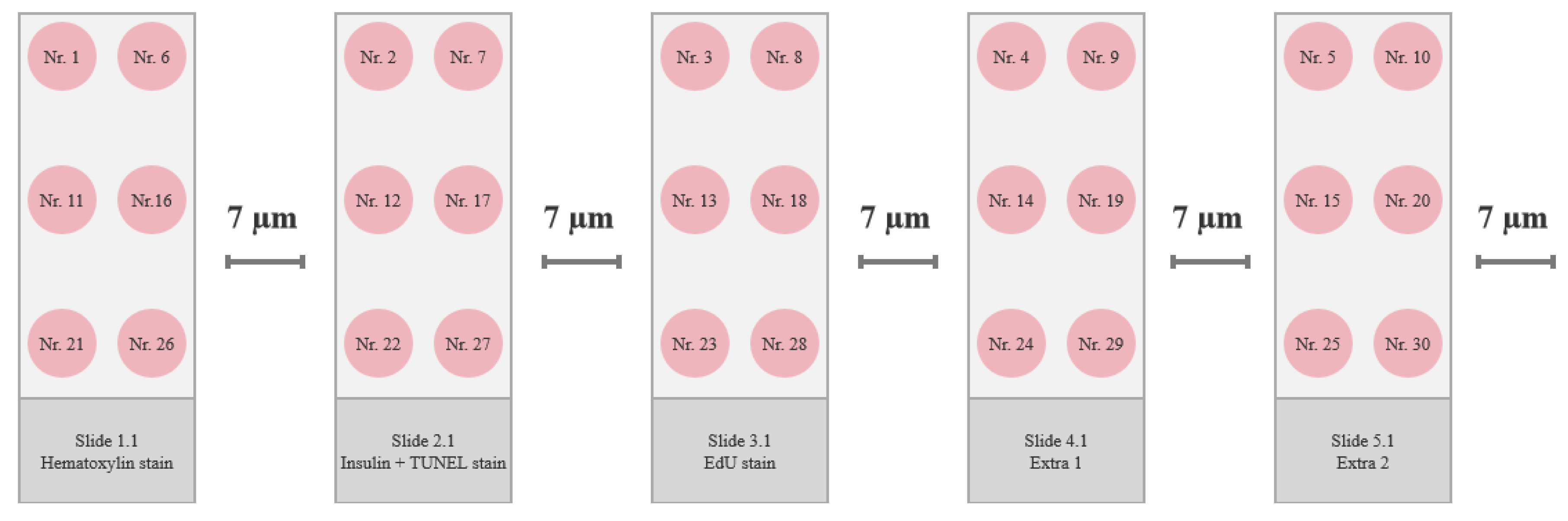 Preprints 67511 g006