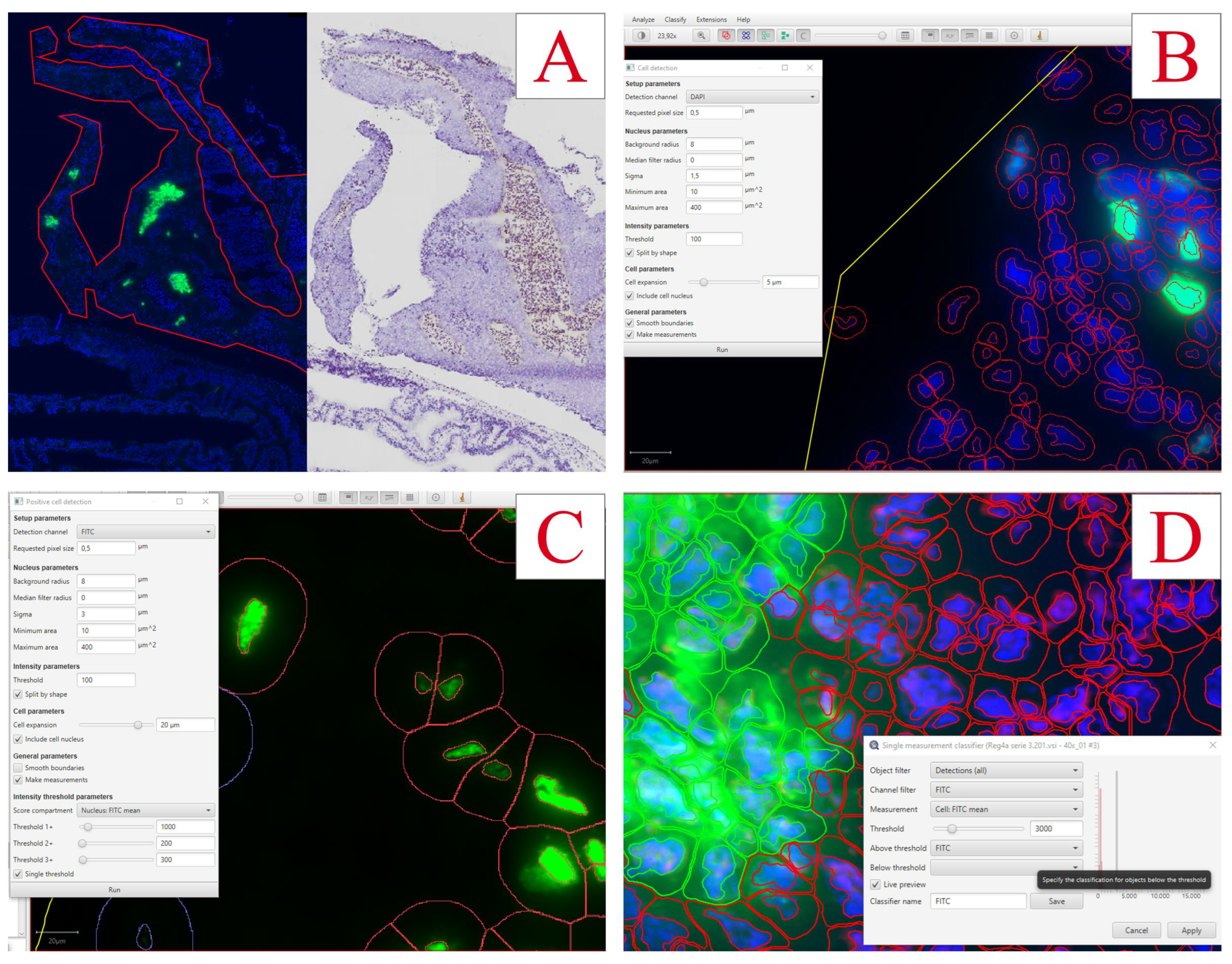 Preprints 67511 g007