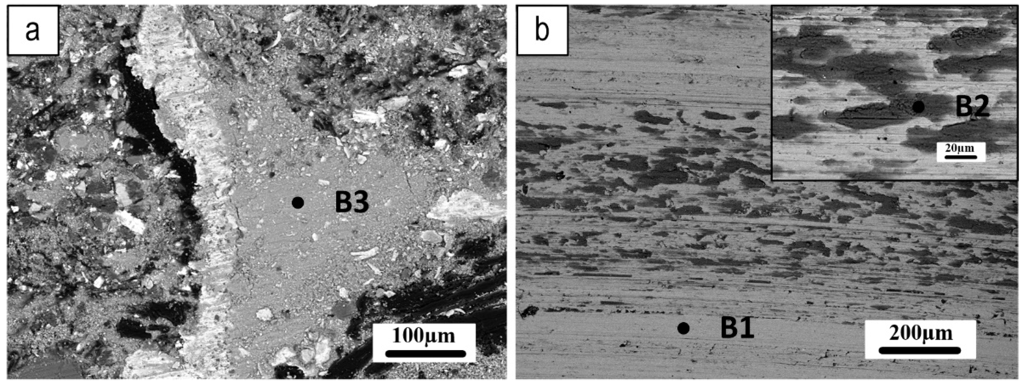 Preprints 84336 g013