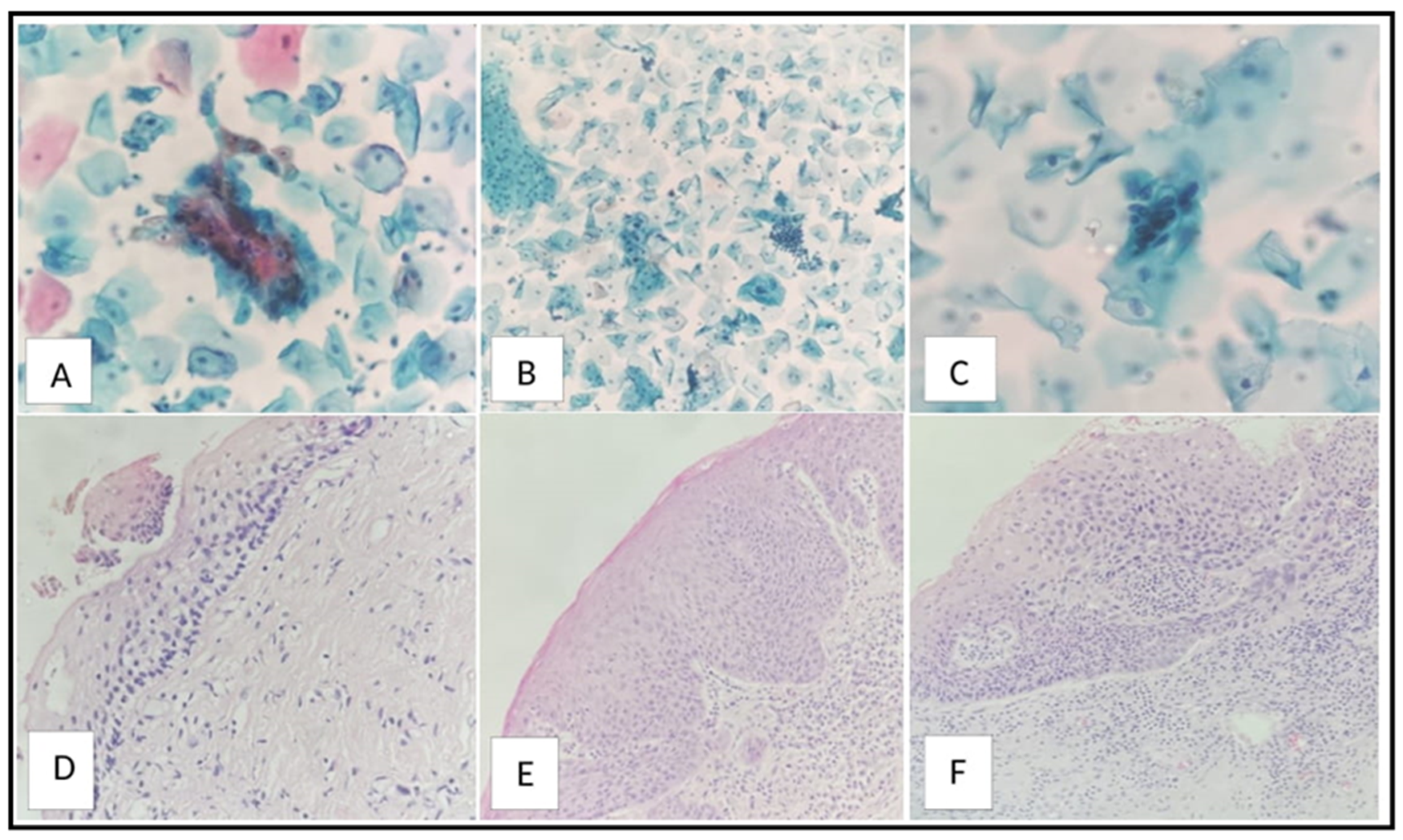 Preprints 97710 g003