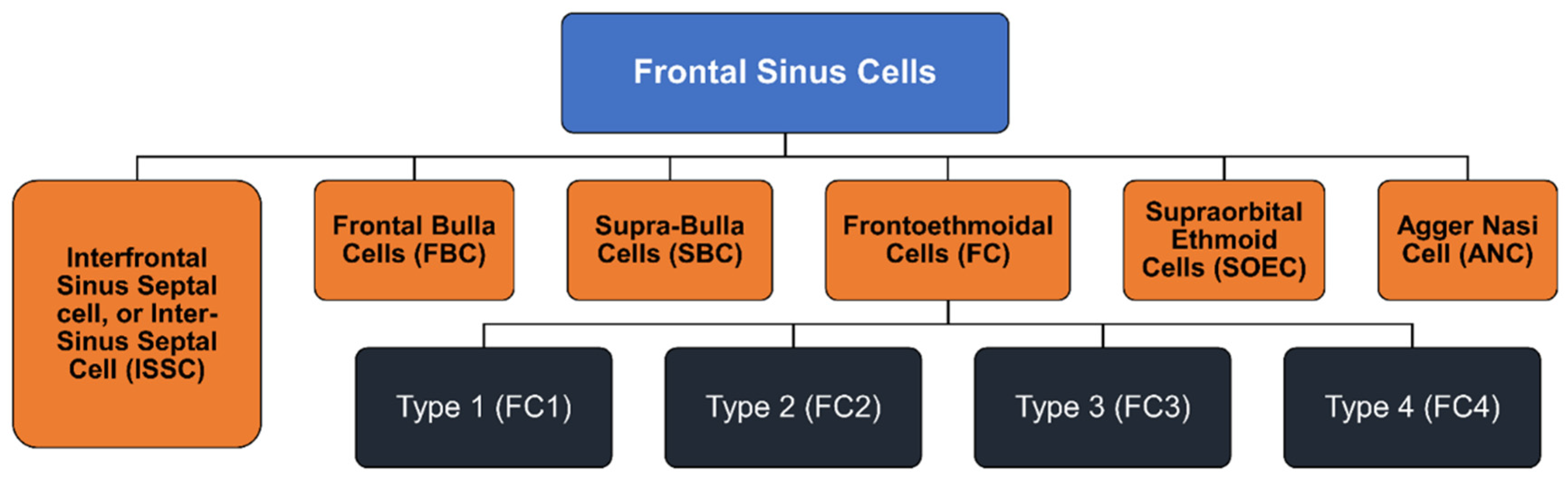 Preprints 88989 g001