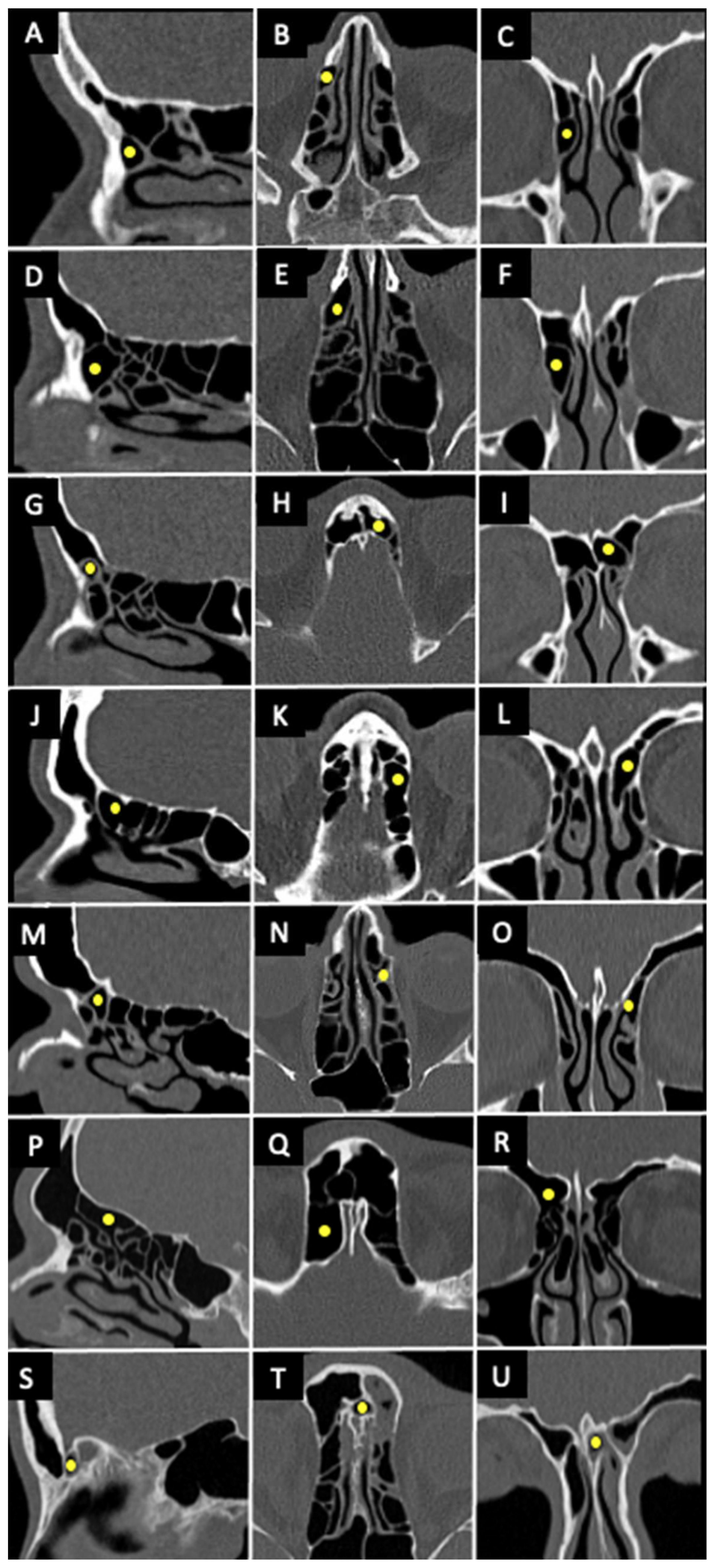 Preprints 88989 g003