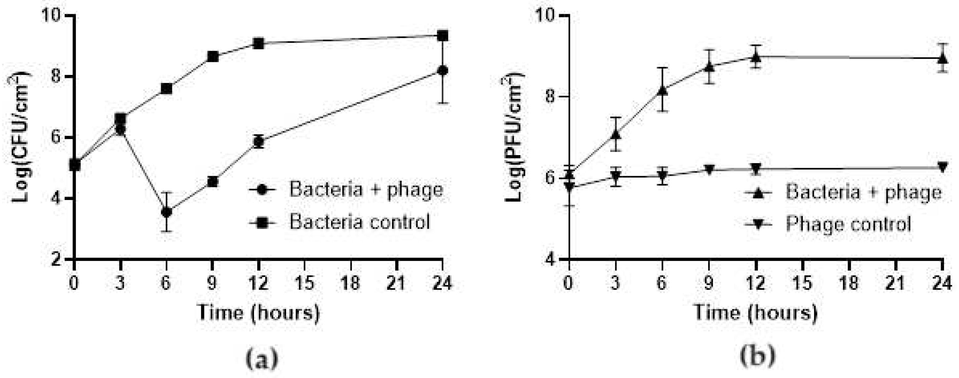 Preprints 95398 g003