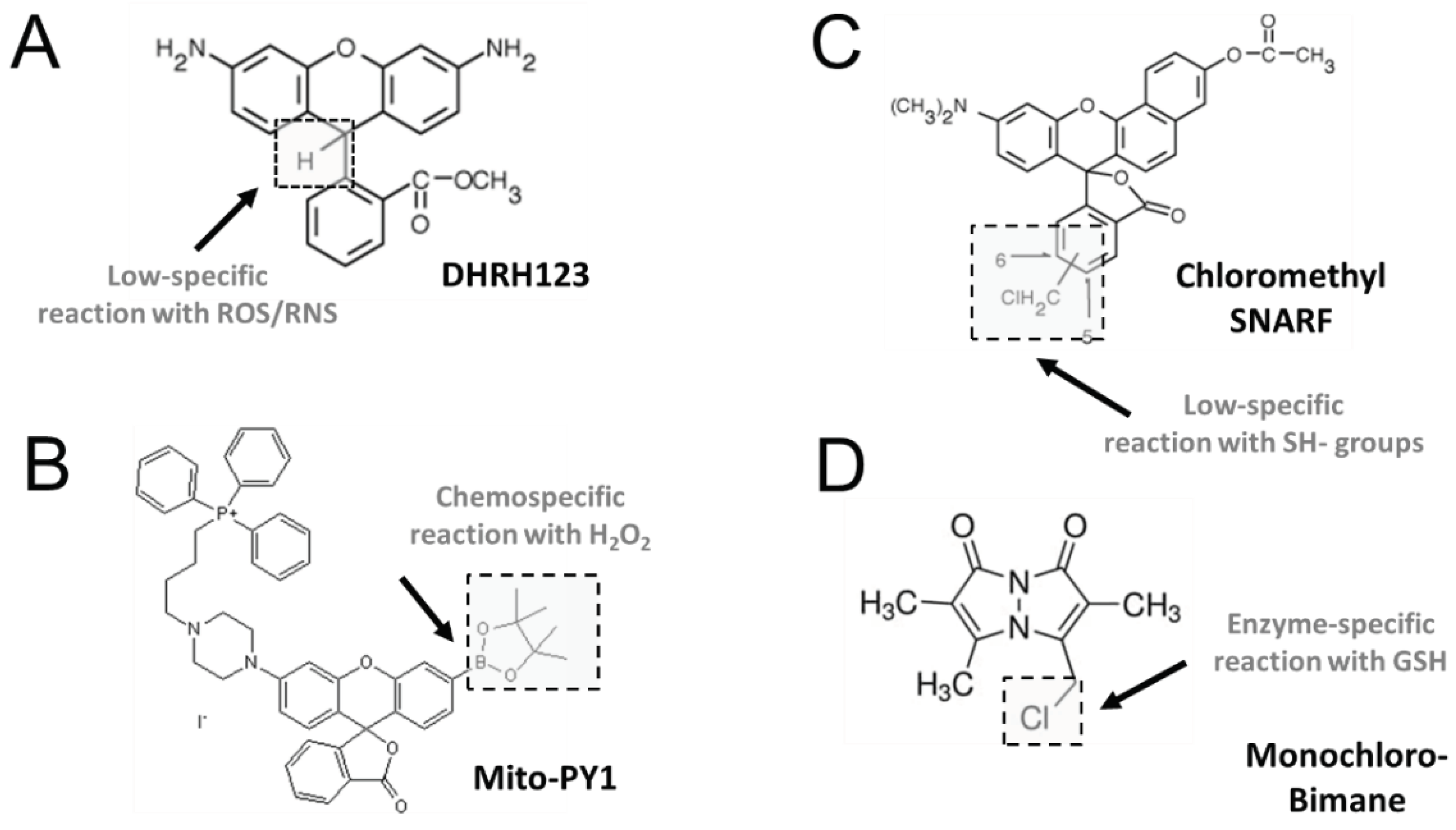 Preprints 72268 g002