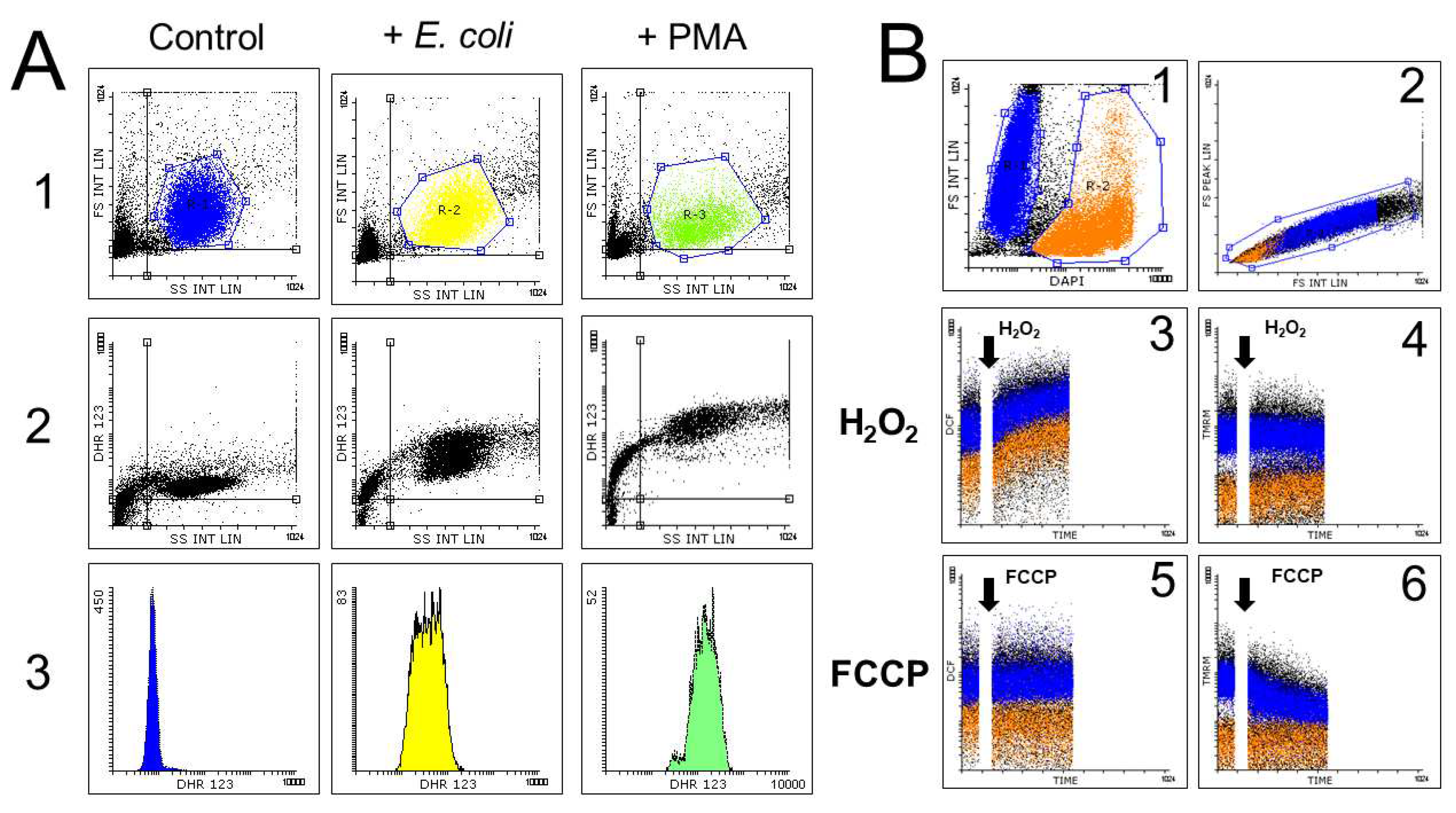 Preprints 72268 g003