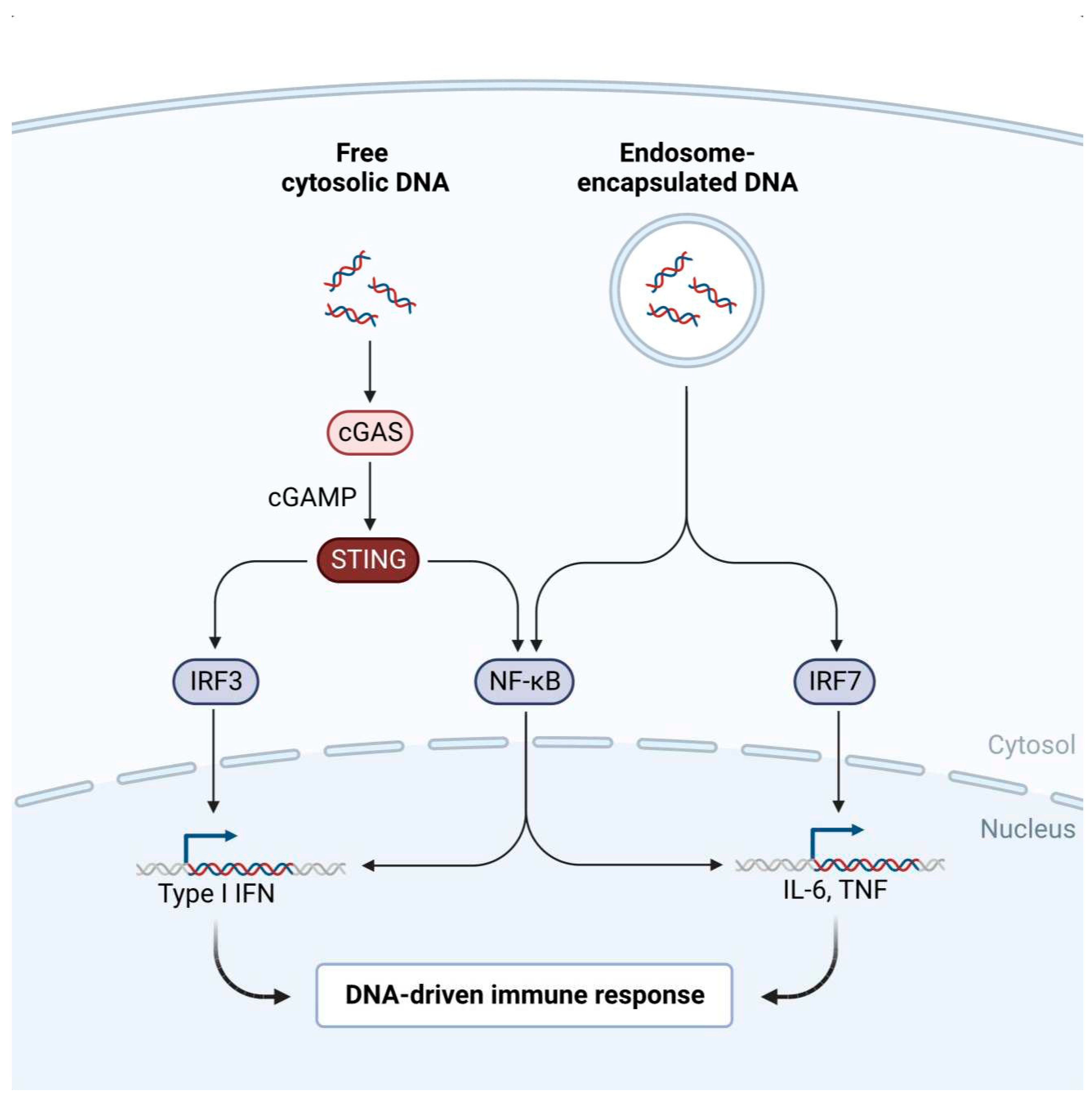 Preprints 68910 g001