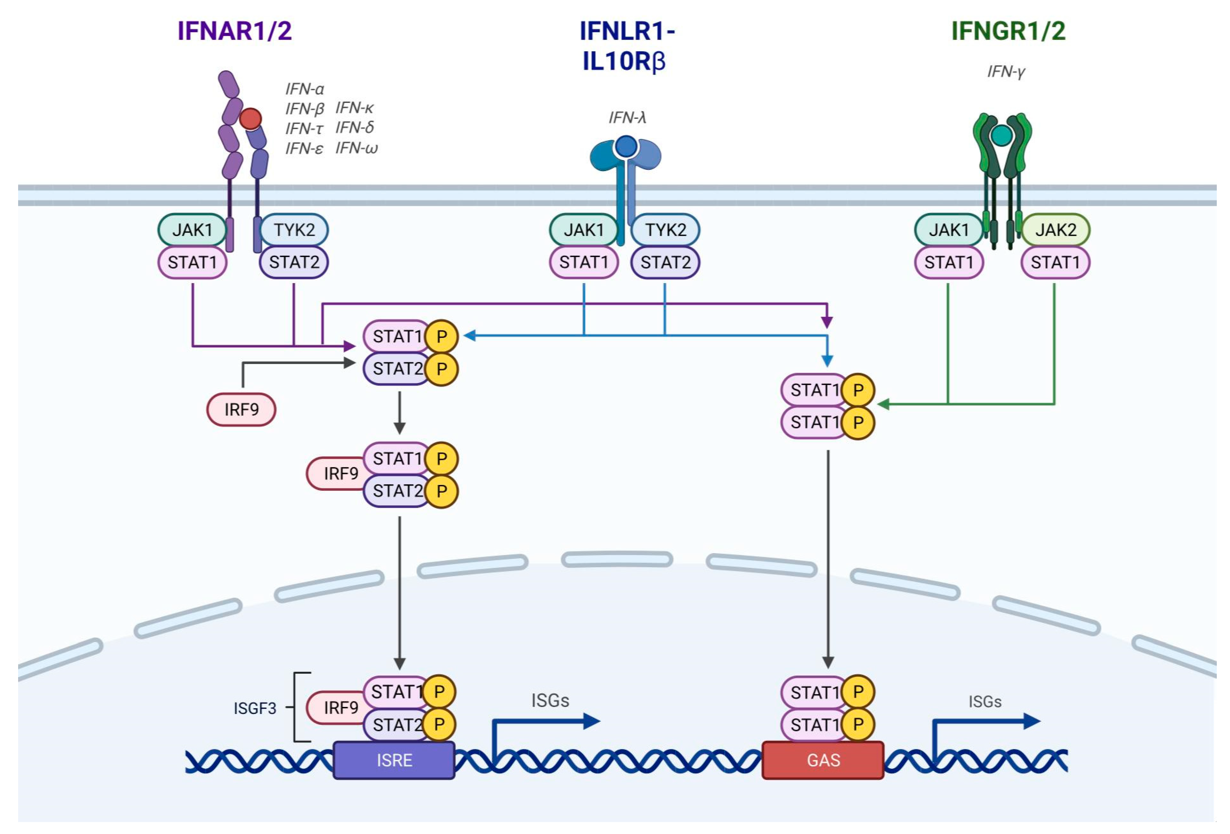 Preprints 68910 g002