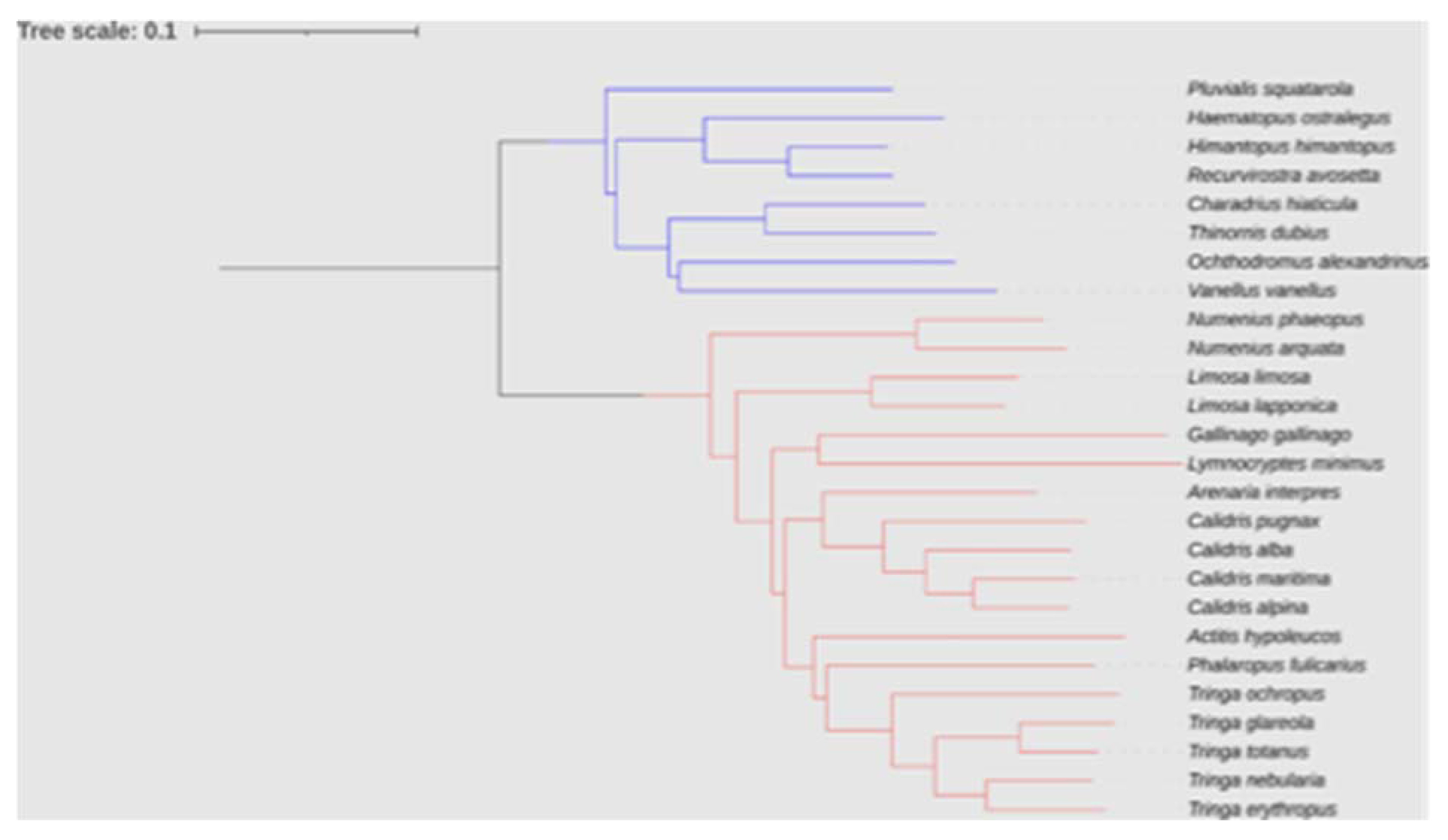 Preprints 88337 g015