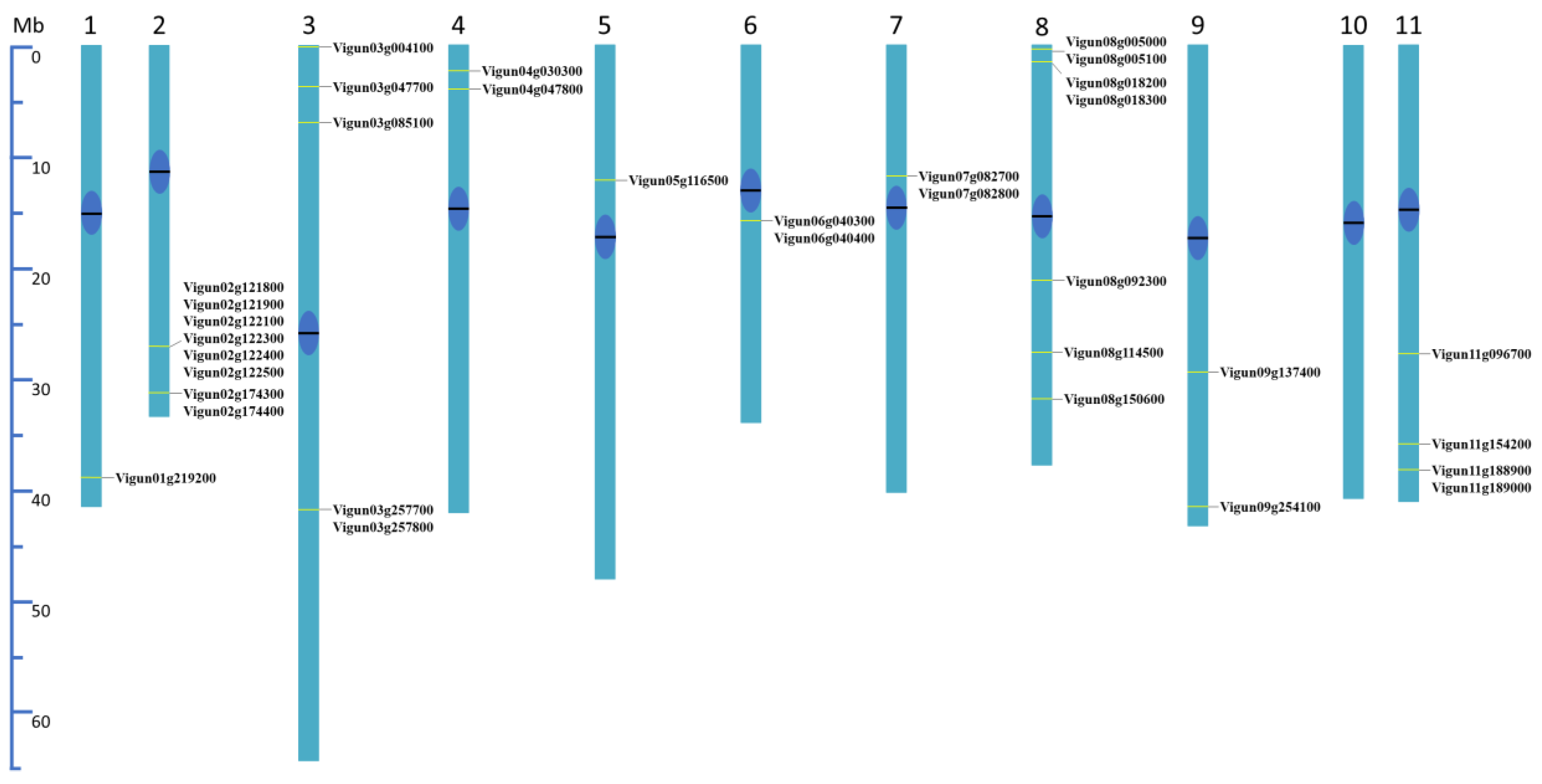 Preprints 117515 g002