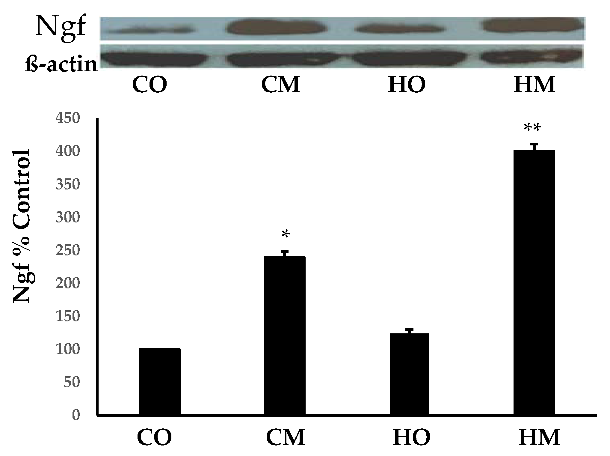 Preprints 72083 g001