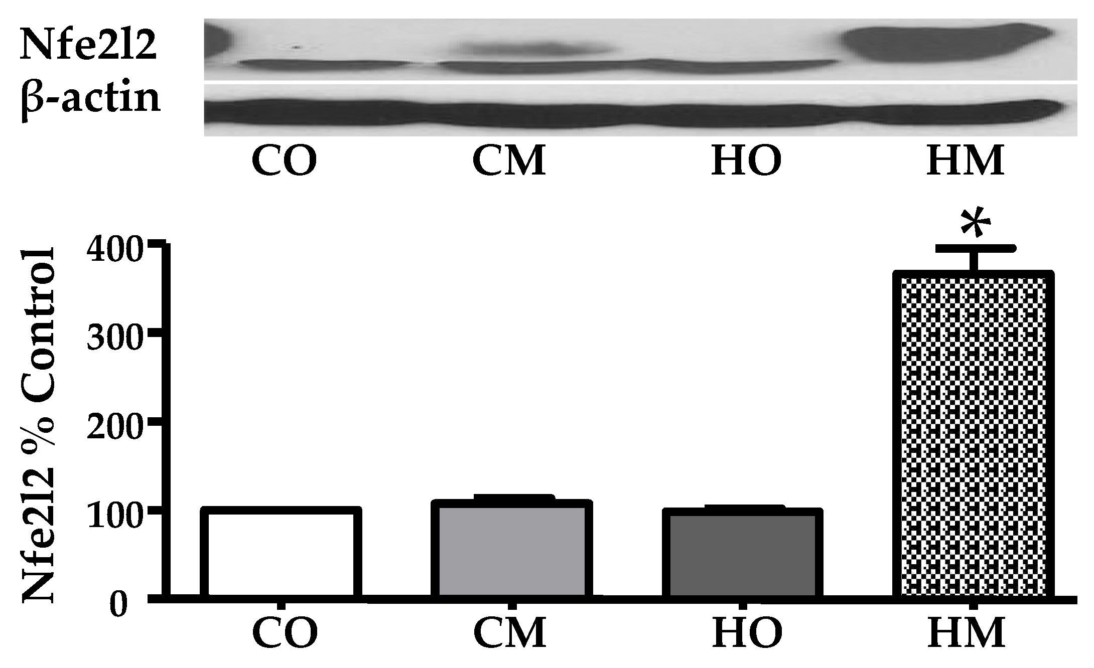 Preprints 72083 g002