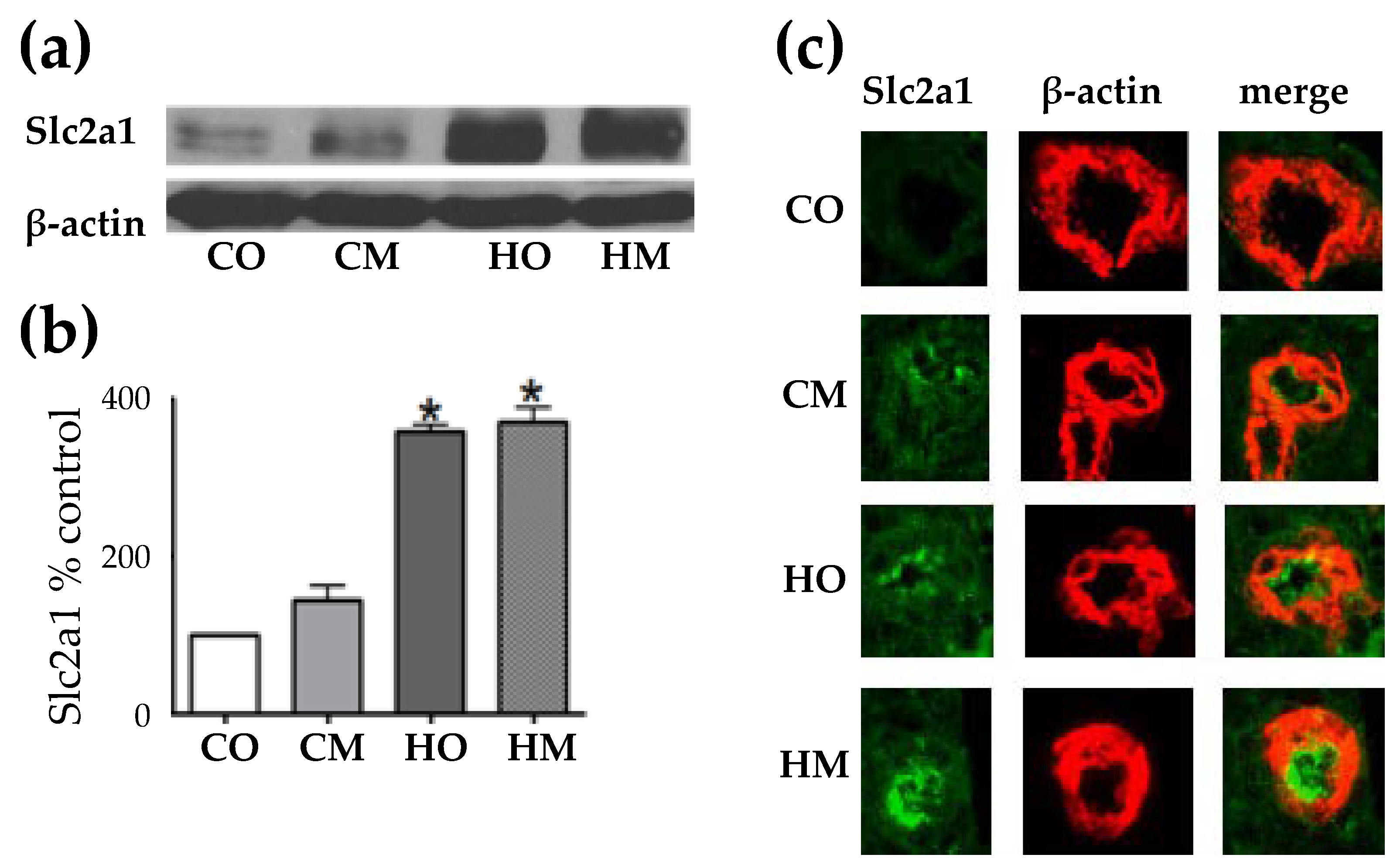 Preprints 72083 g003