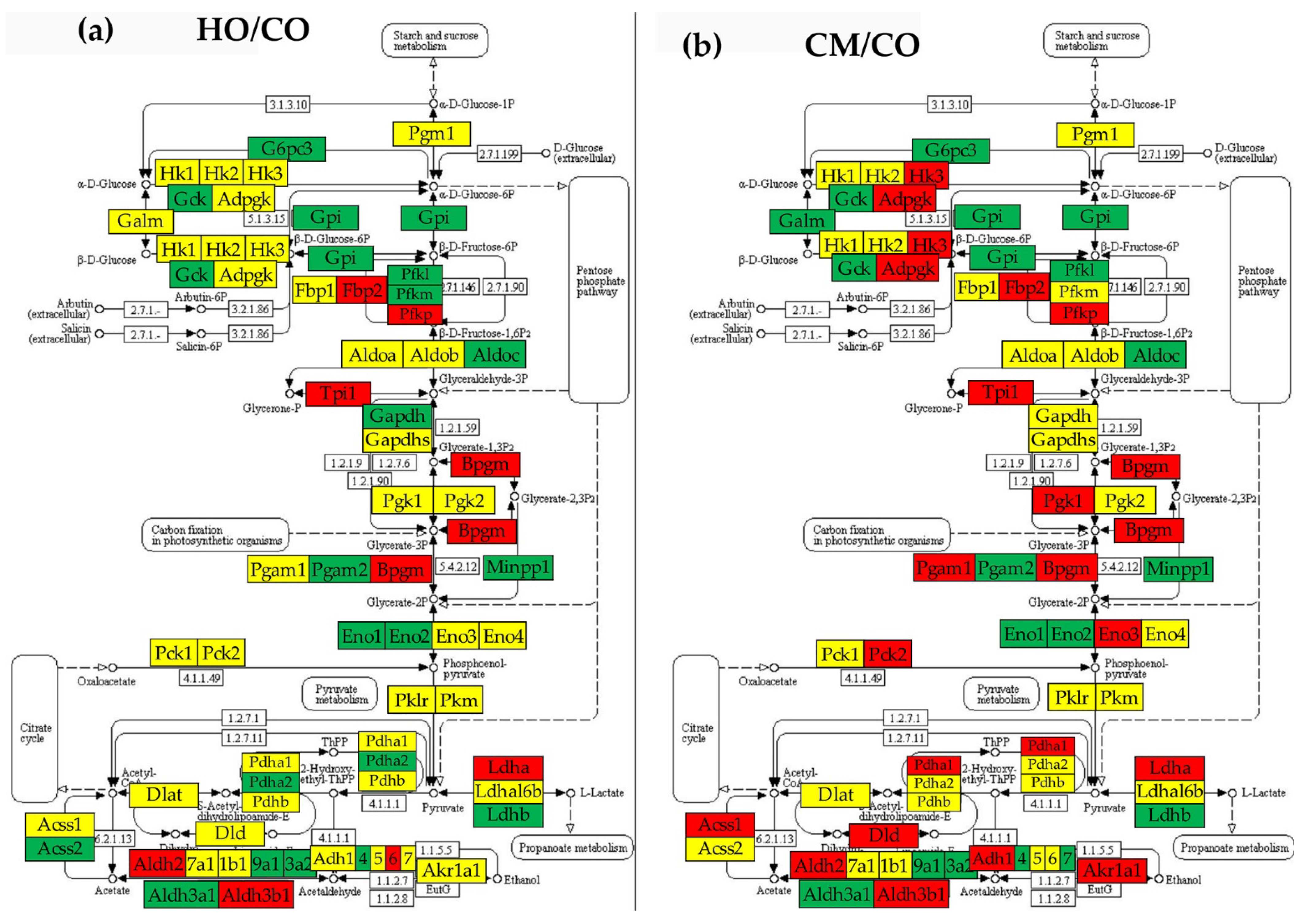 Preprints 72083 g007a