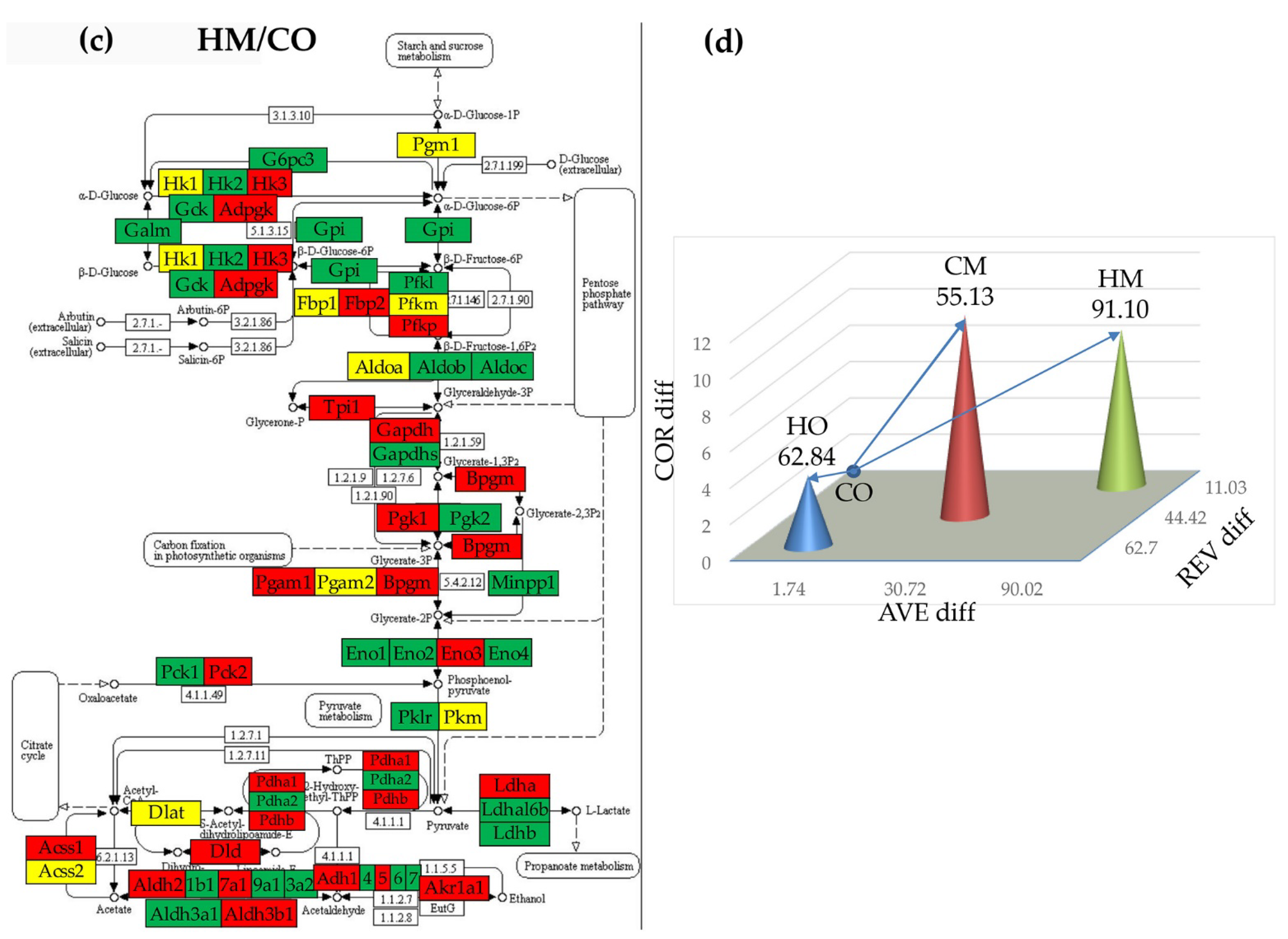 Preprints 72083 g007b