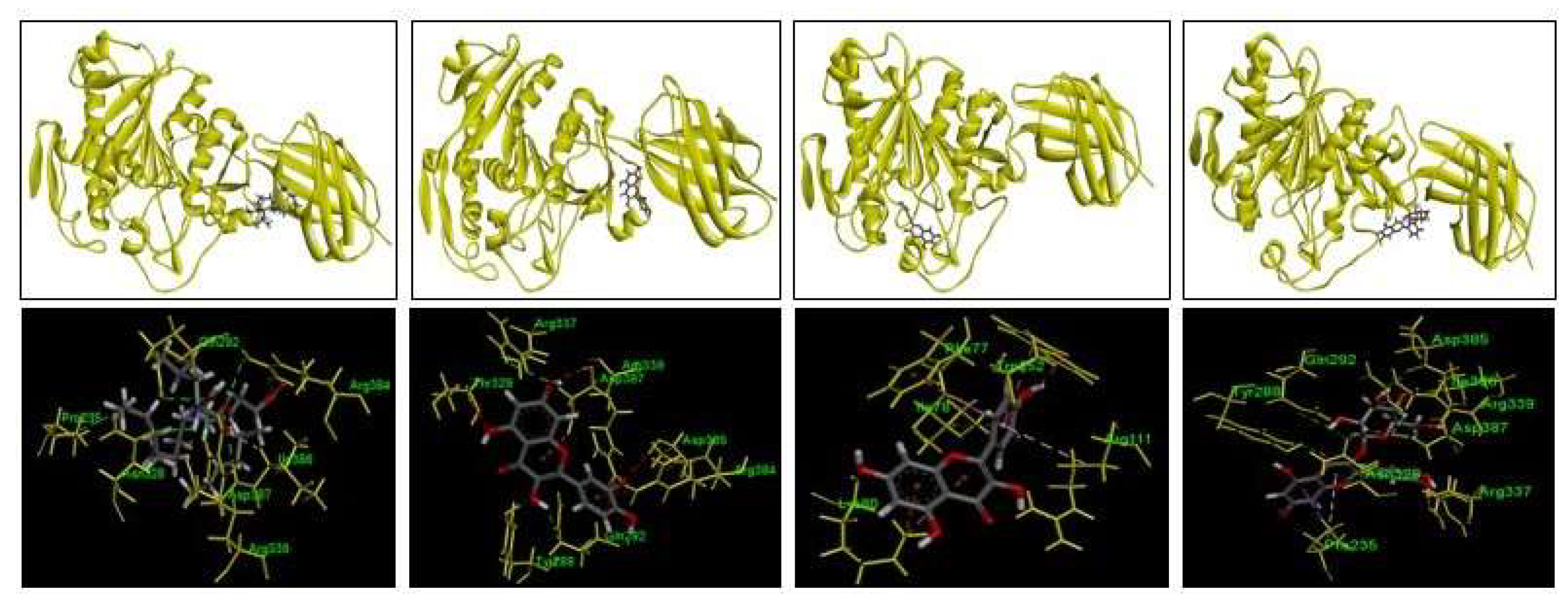 Preprints 116141 g006