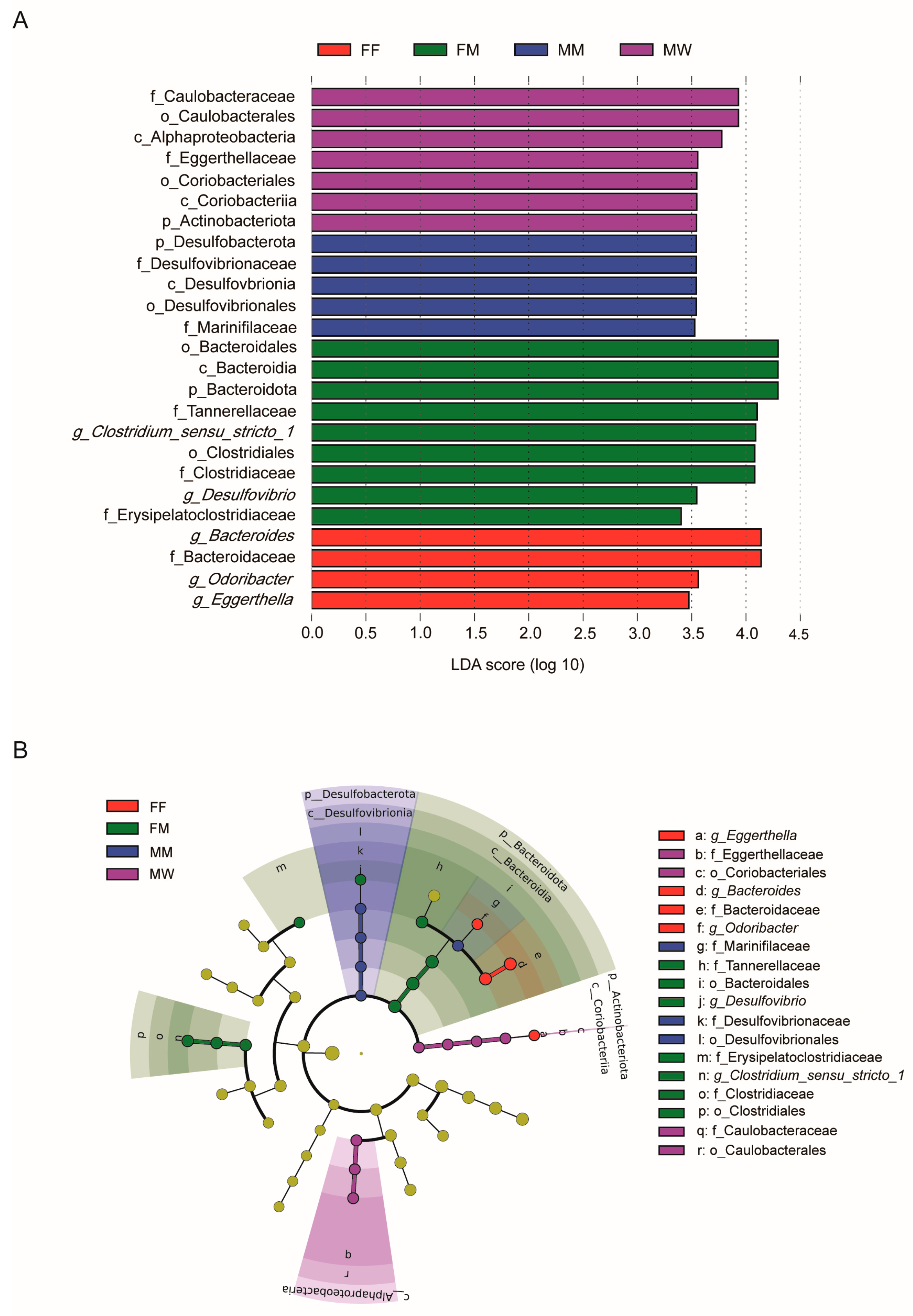 Preprints 69297 g004