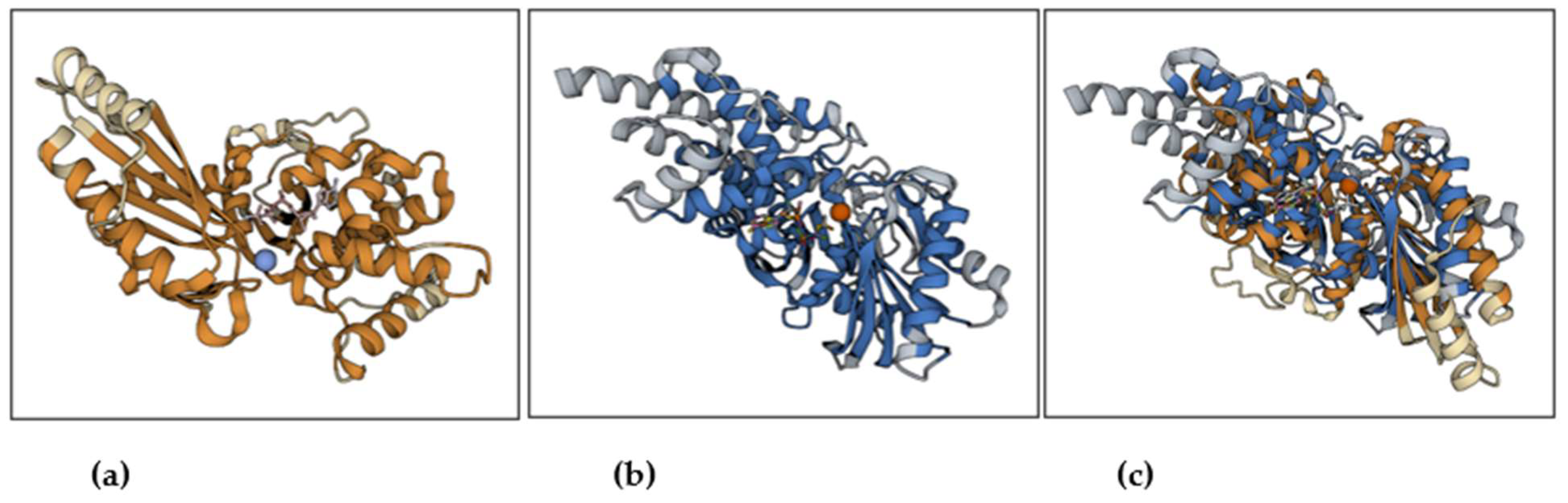 Preprints 120533 g004