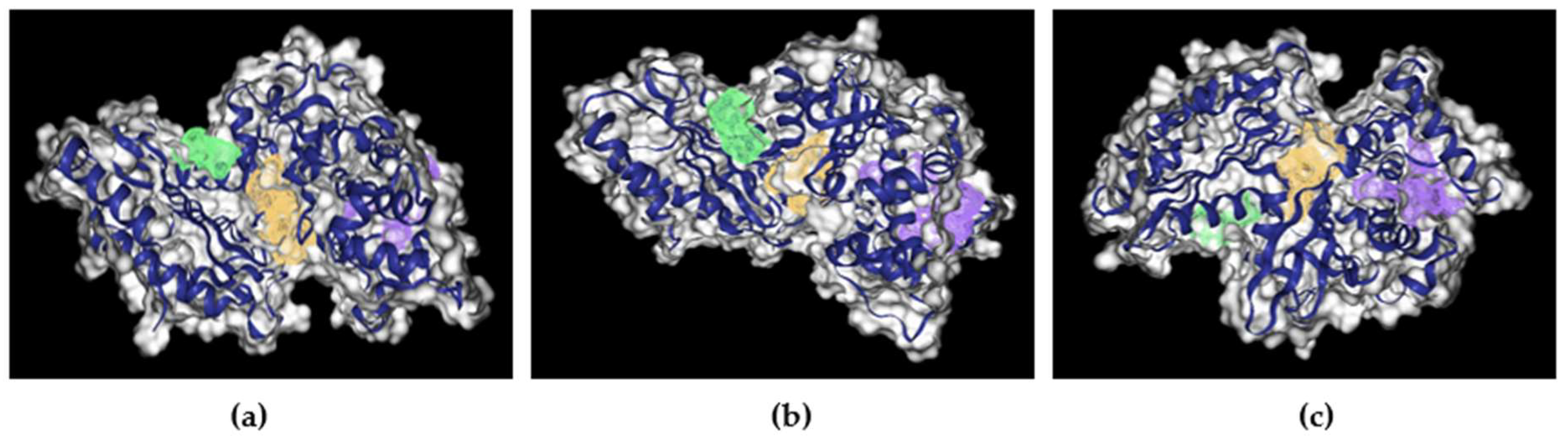 Preprints 120533 g005