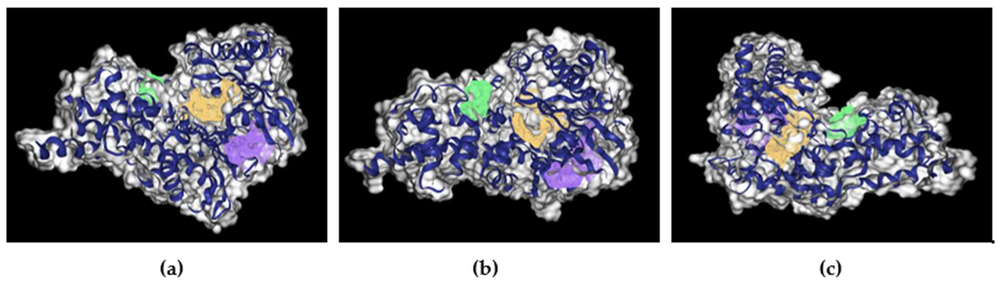 Preprints 120533 g006