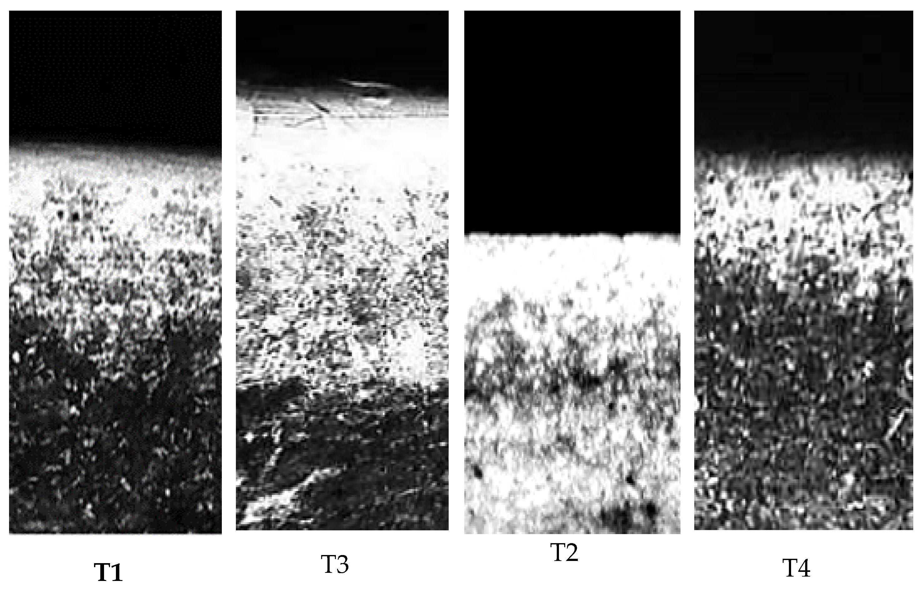 Preprints 72013 g011