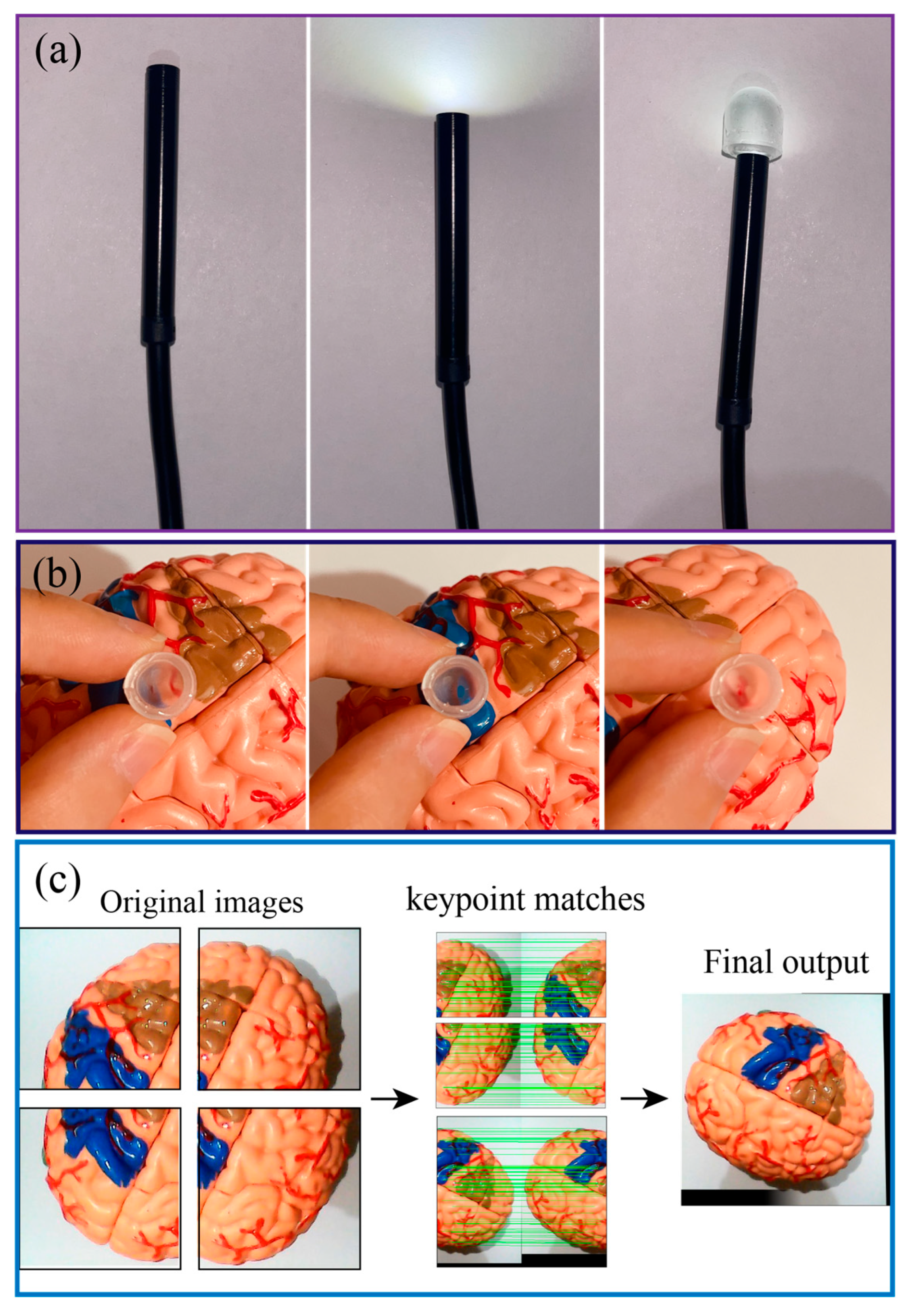 Preprints 72624 g008