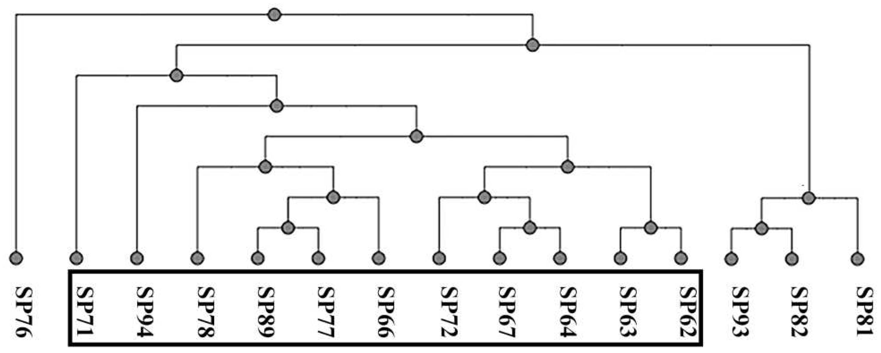 Preprints 91228 g002