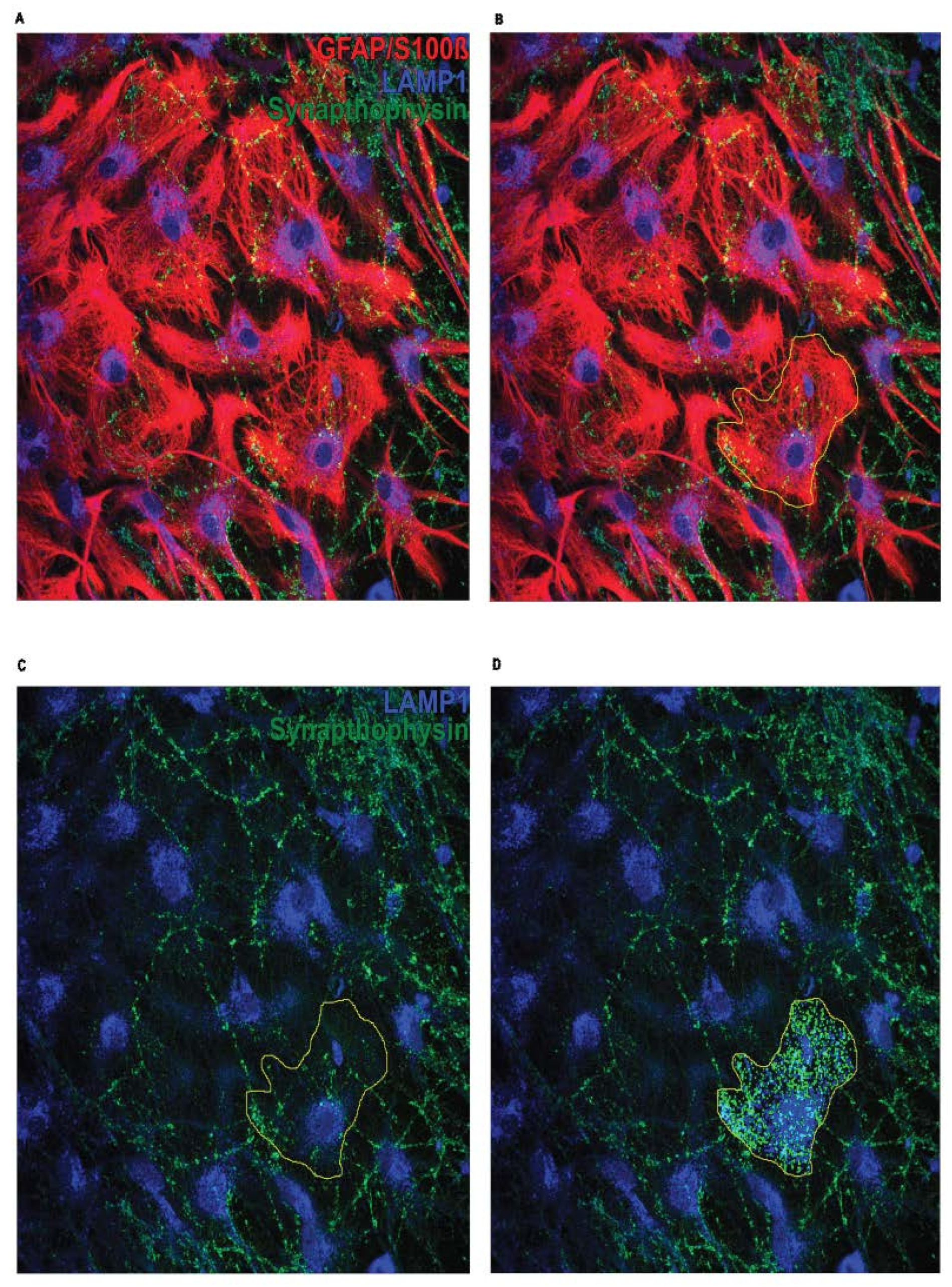 Preprints 118380 g001