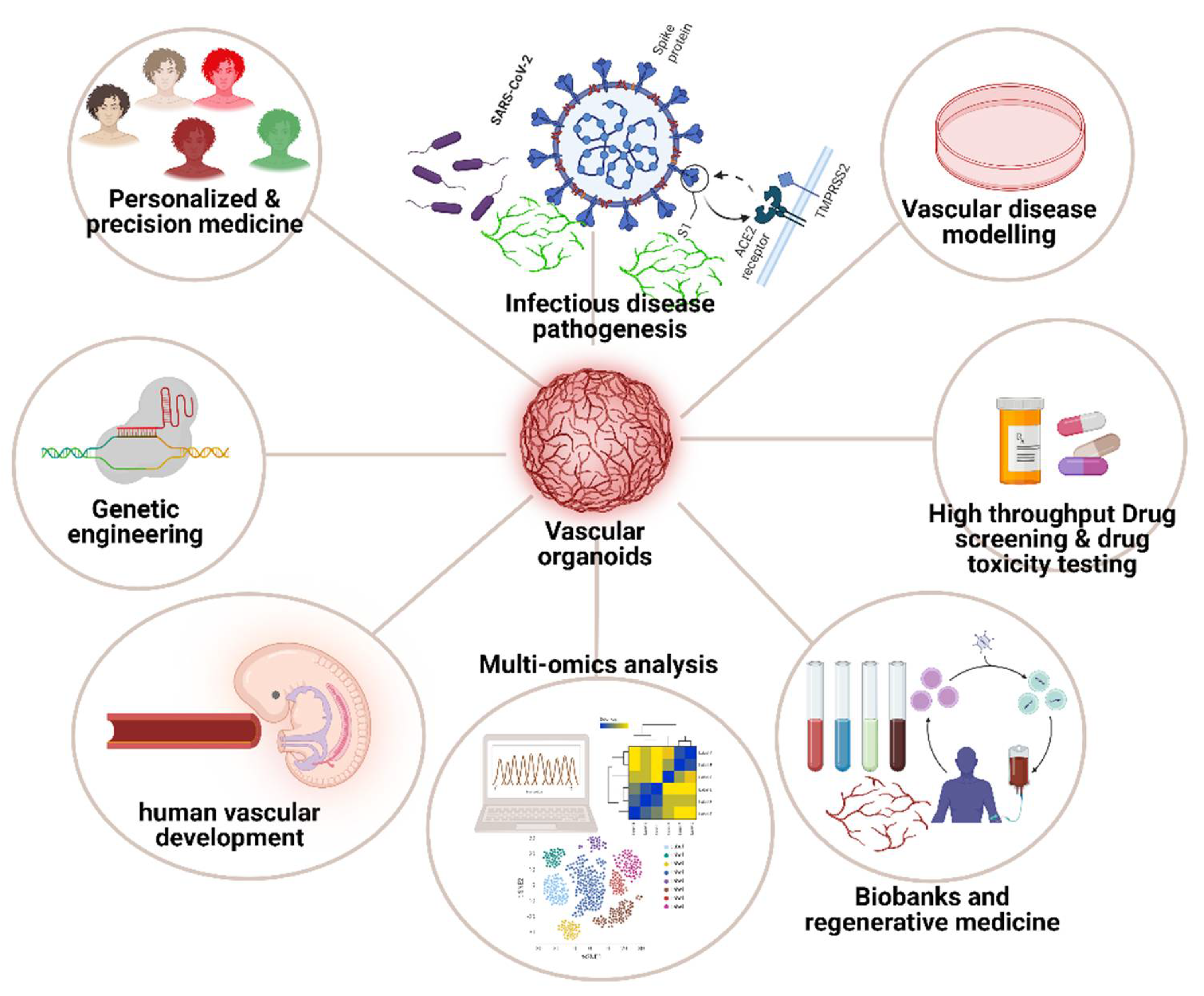 Preprints 112003 g002