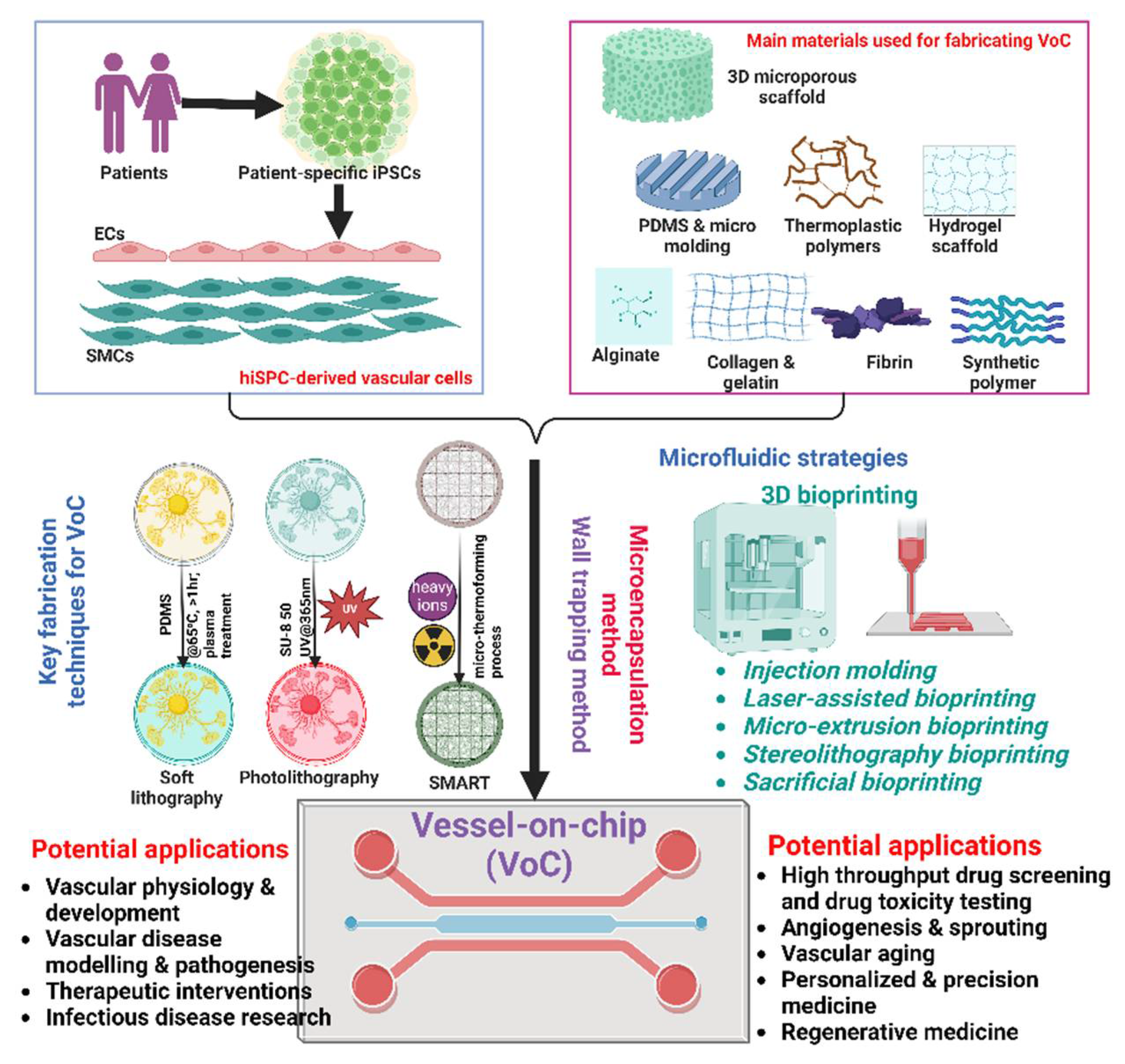 Preprints 112003 g003