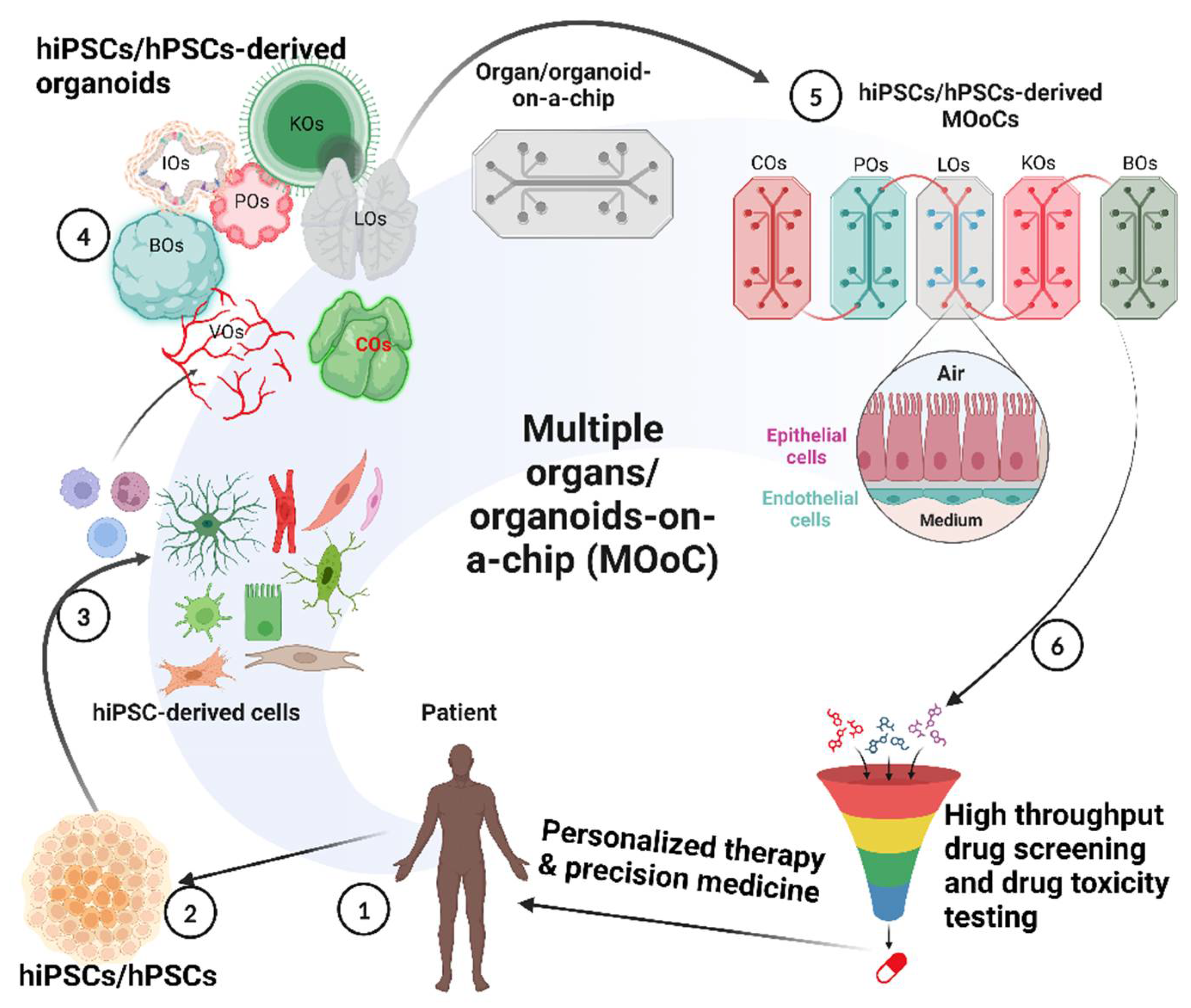 Preprints 112003 g005