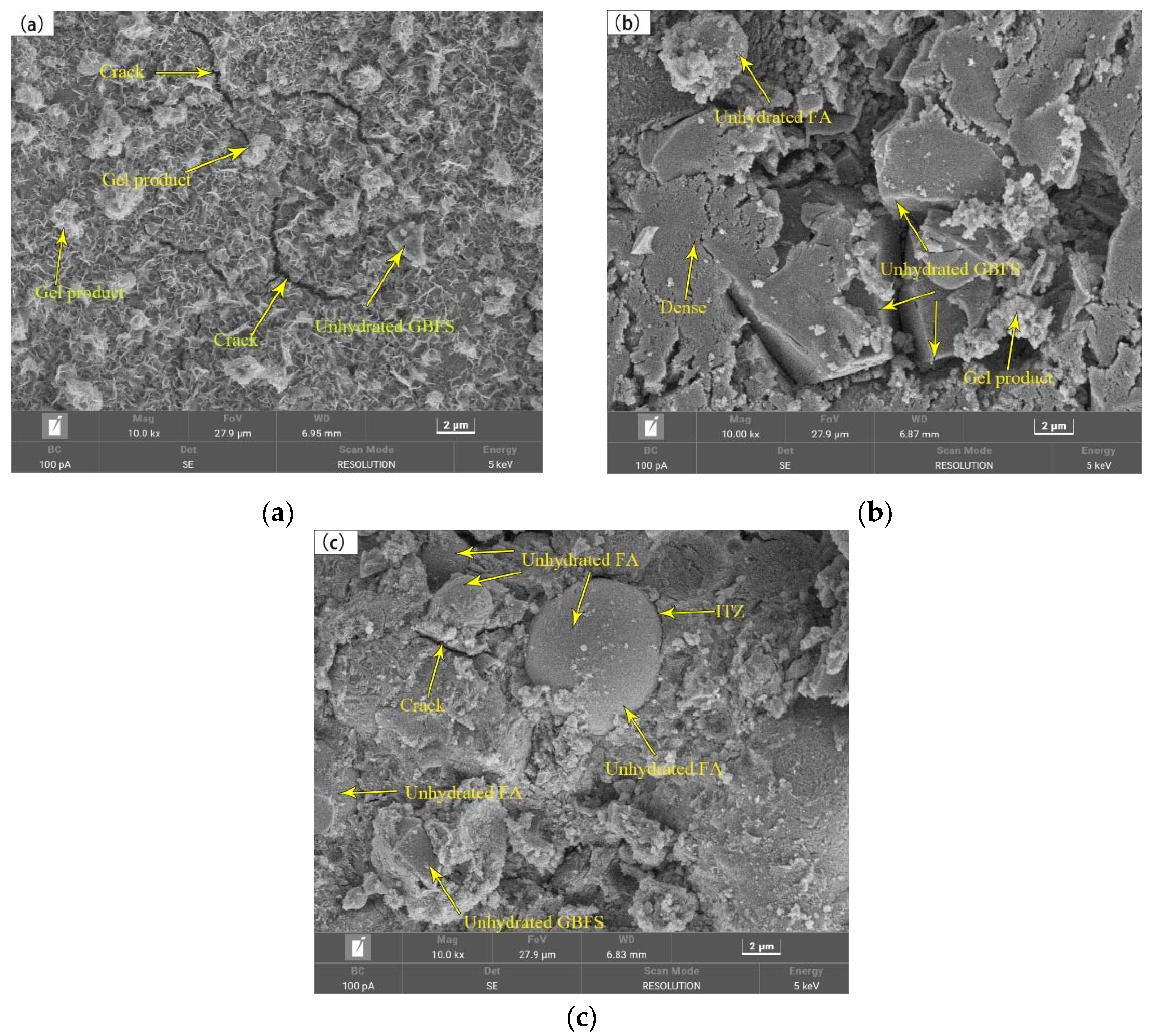 Preprints 115197 g010