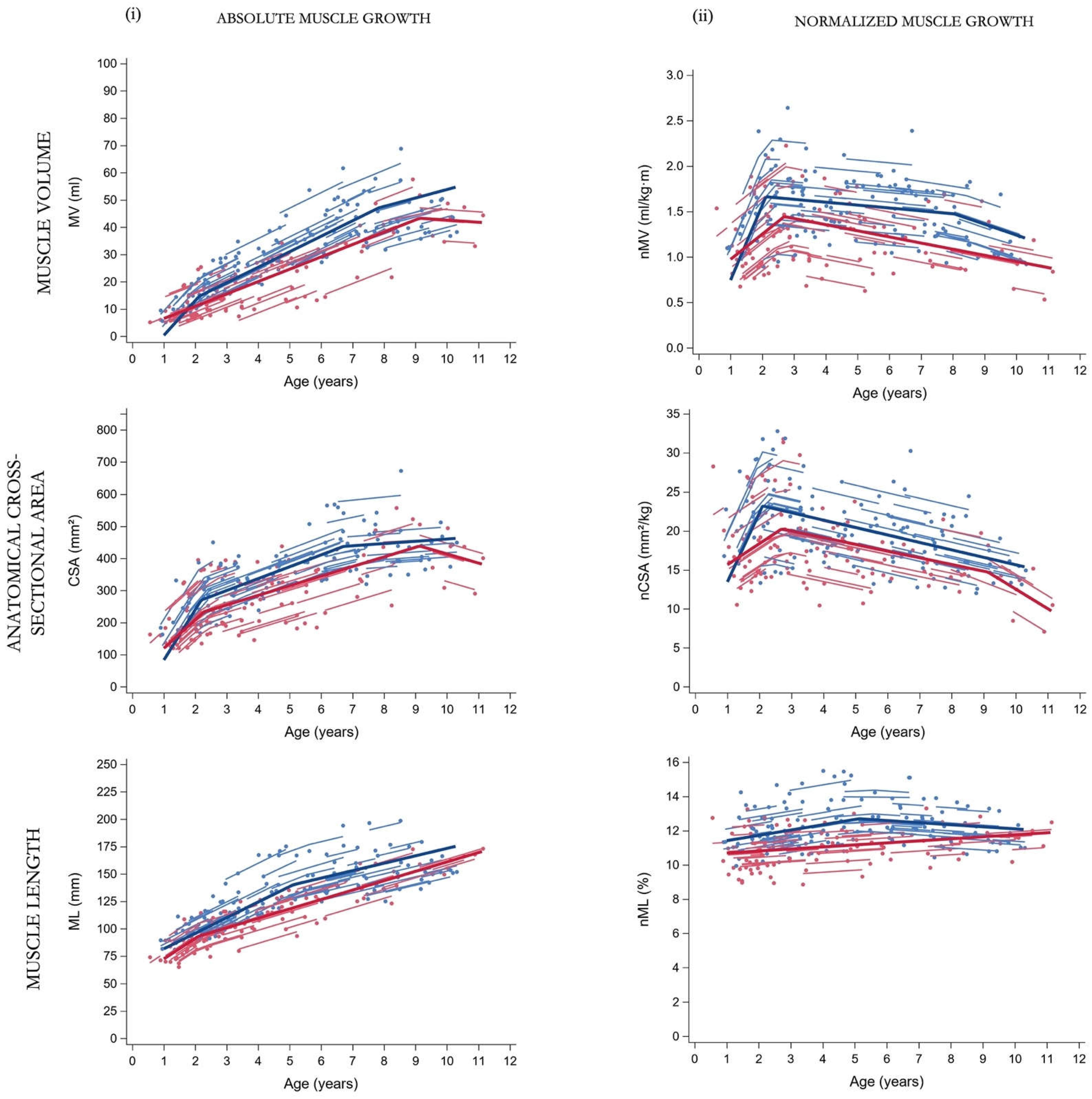 Preprints 67218 g002