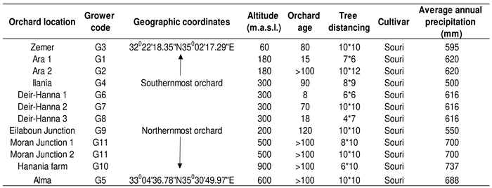 Preprints 92088 i001