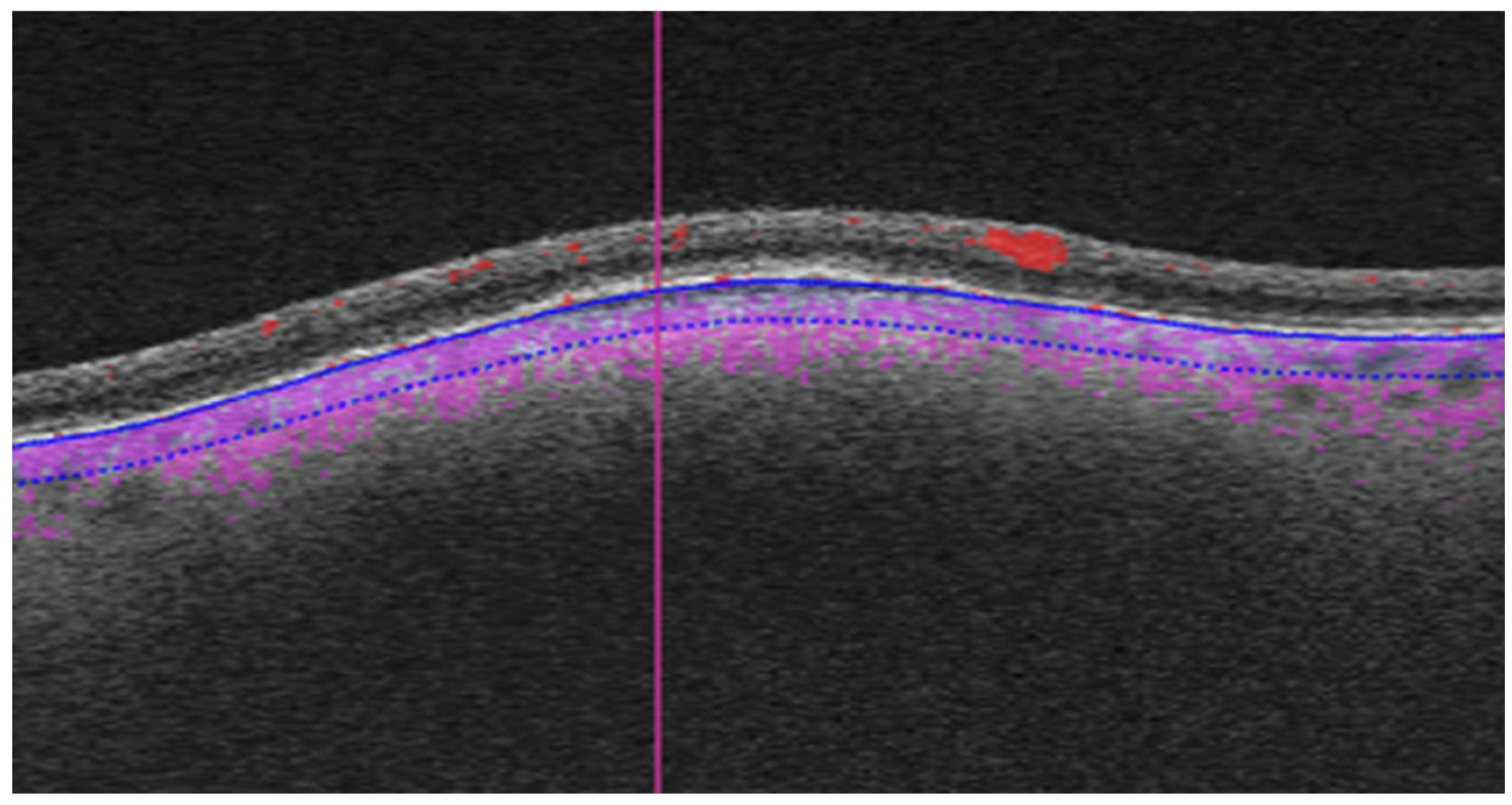 Preprints 105702 g001