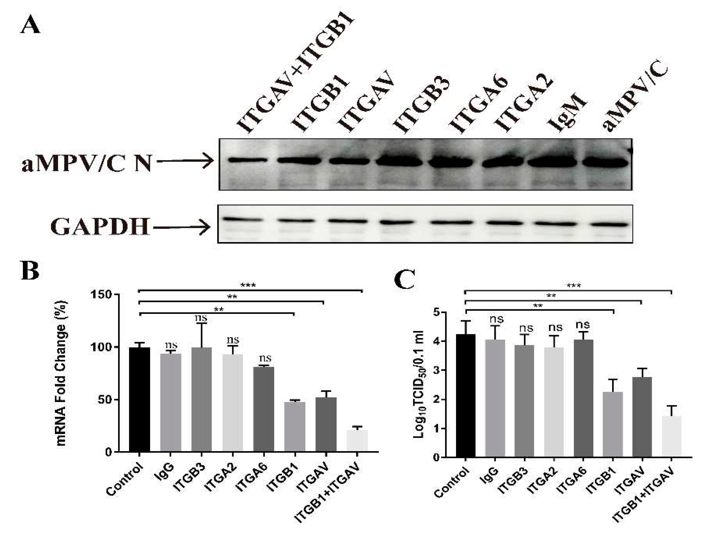 Preprints 93445 g002