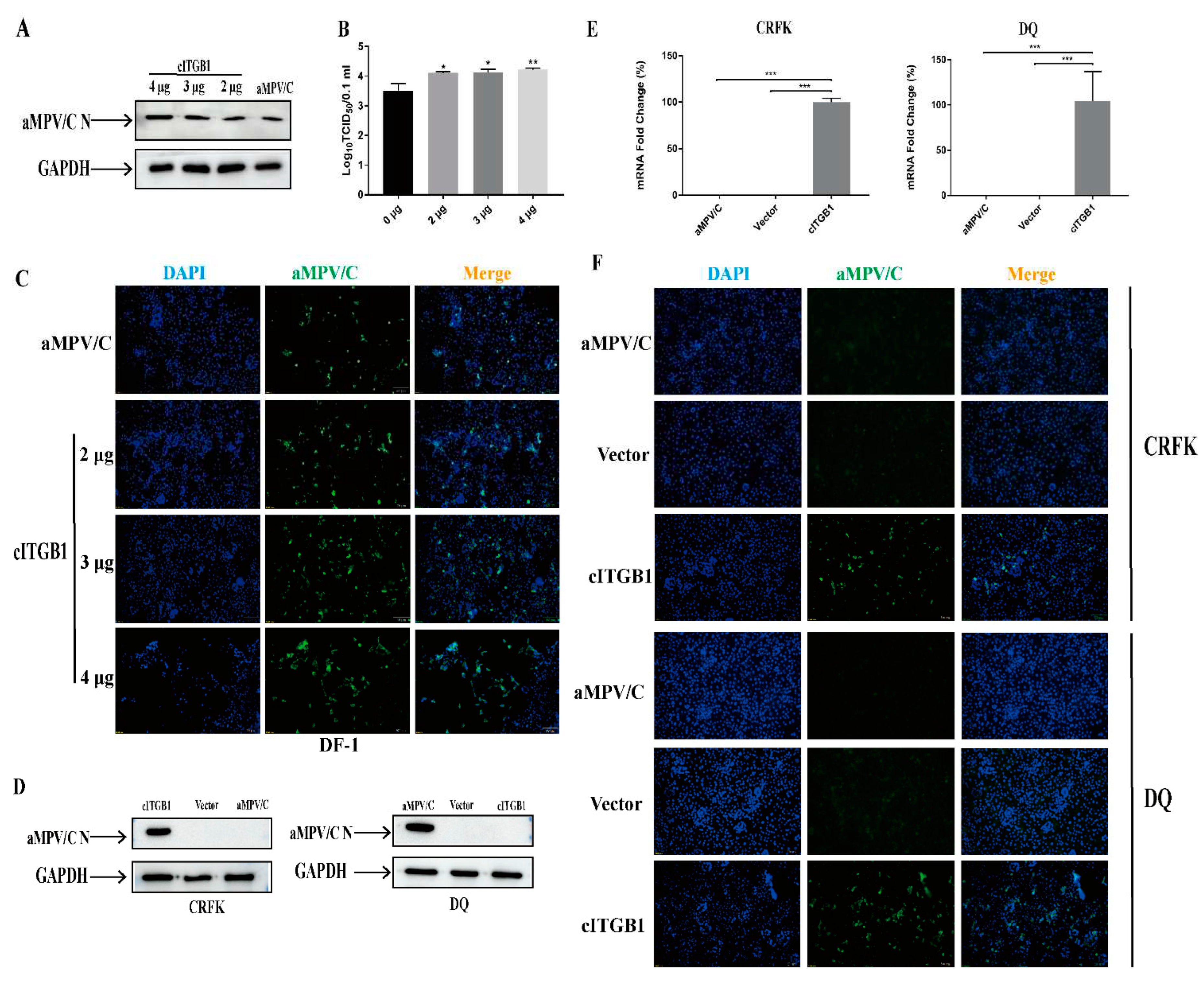 Preprints 93445 g005