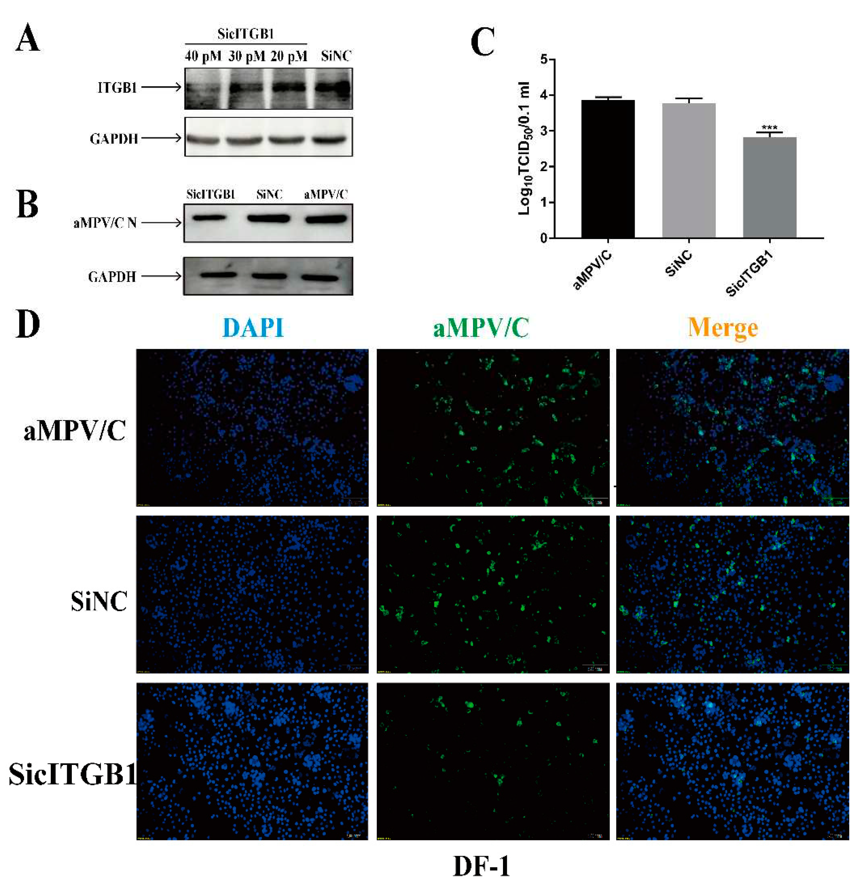 Preprints 93445 g006