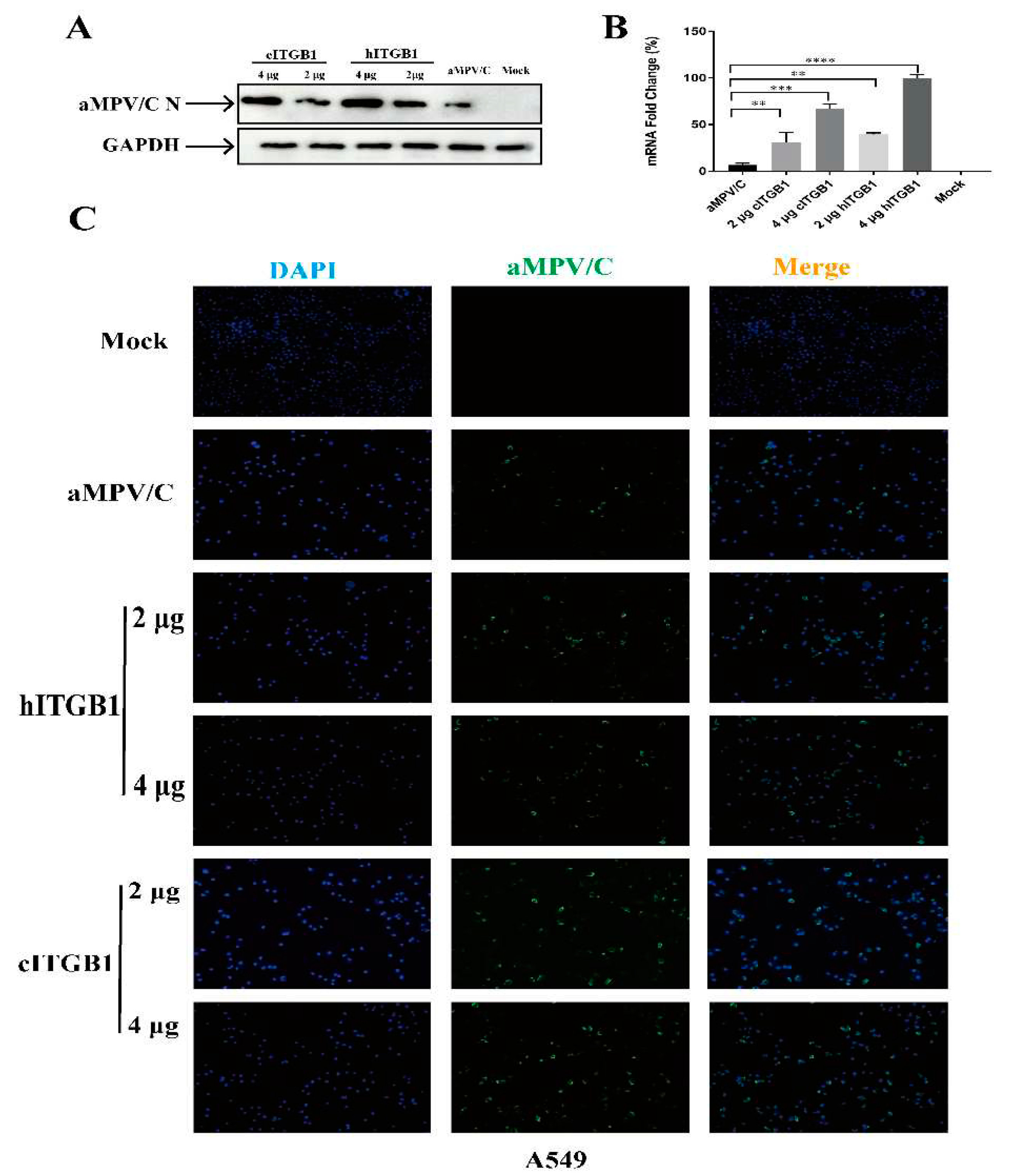 Preprints 93445 g008