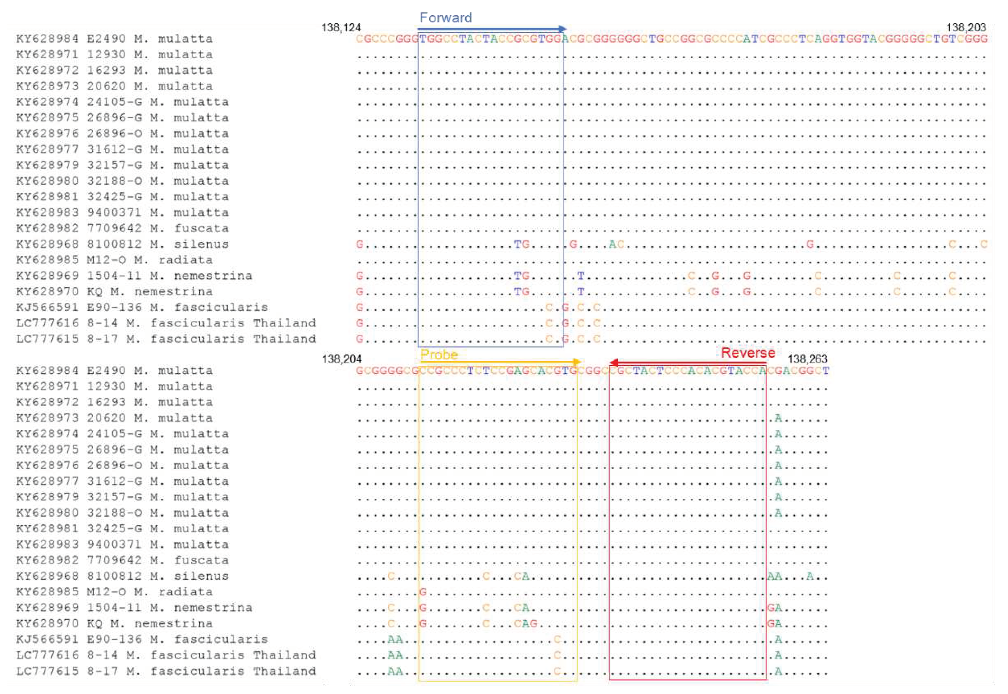 Preprints 85955 g001